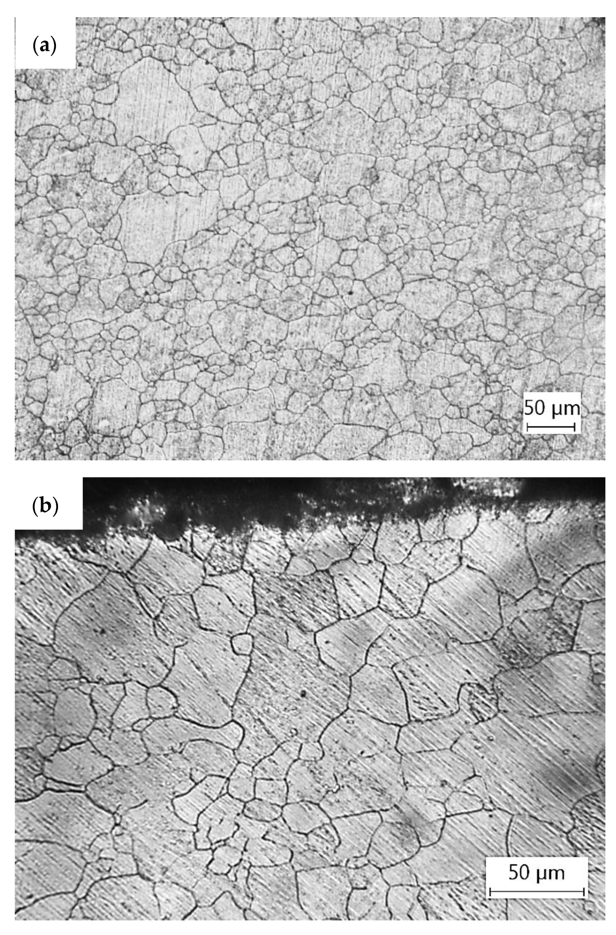 Metals 13 00619 g005 Metals 13 00619 g005