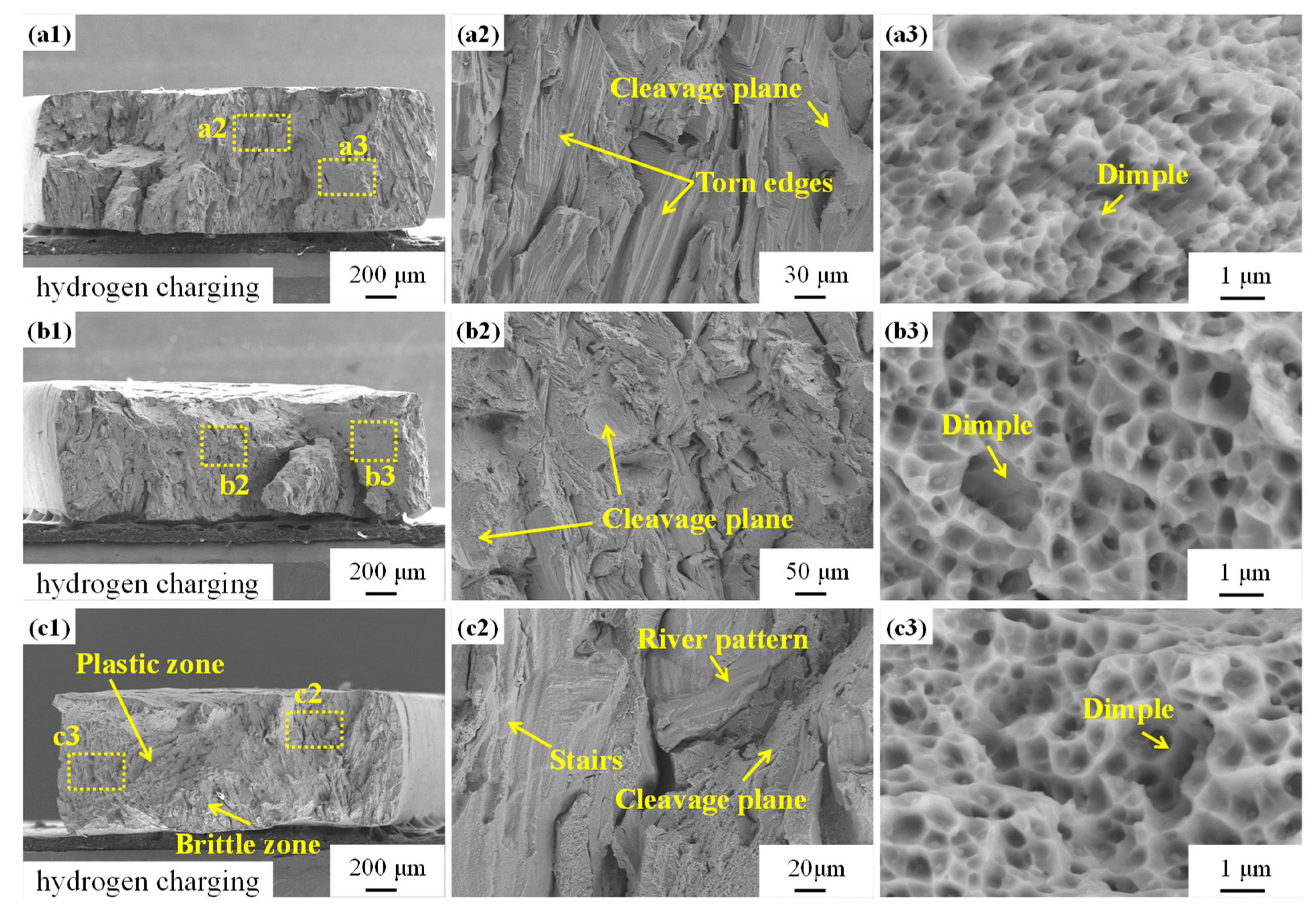 Metals 13 00630 g003 Metals 13 00630 g003