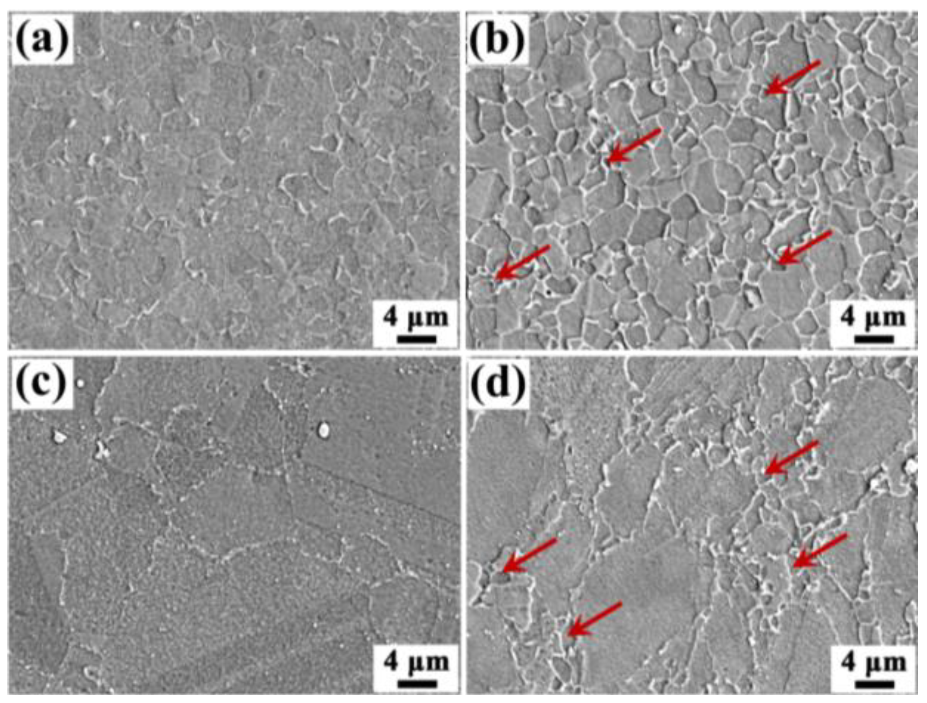 Metals 13 00632 g005