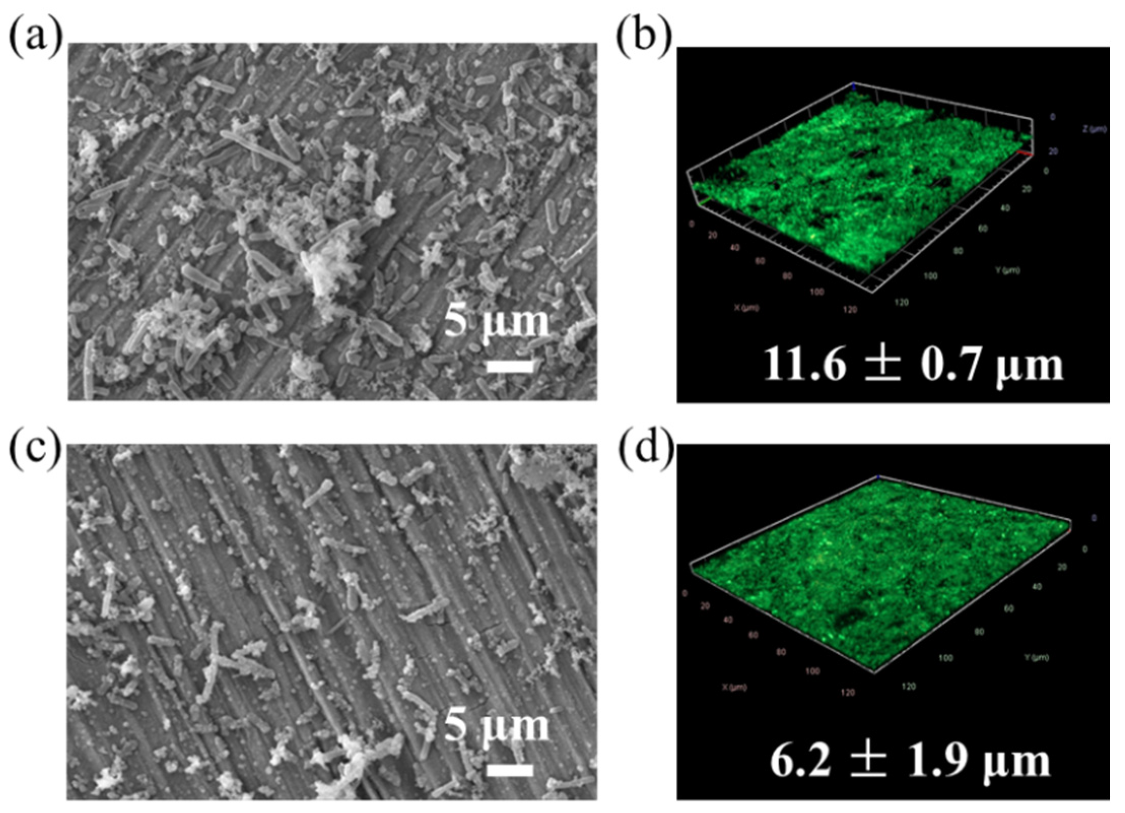 Metals 13 00649 g001