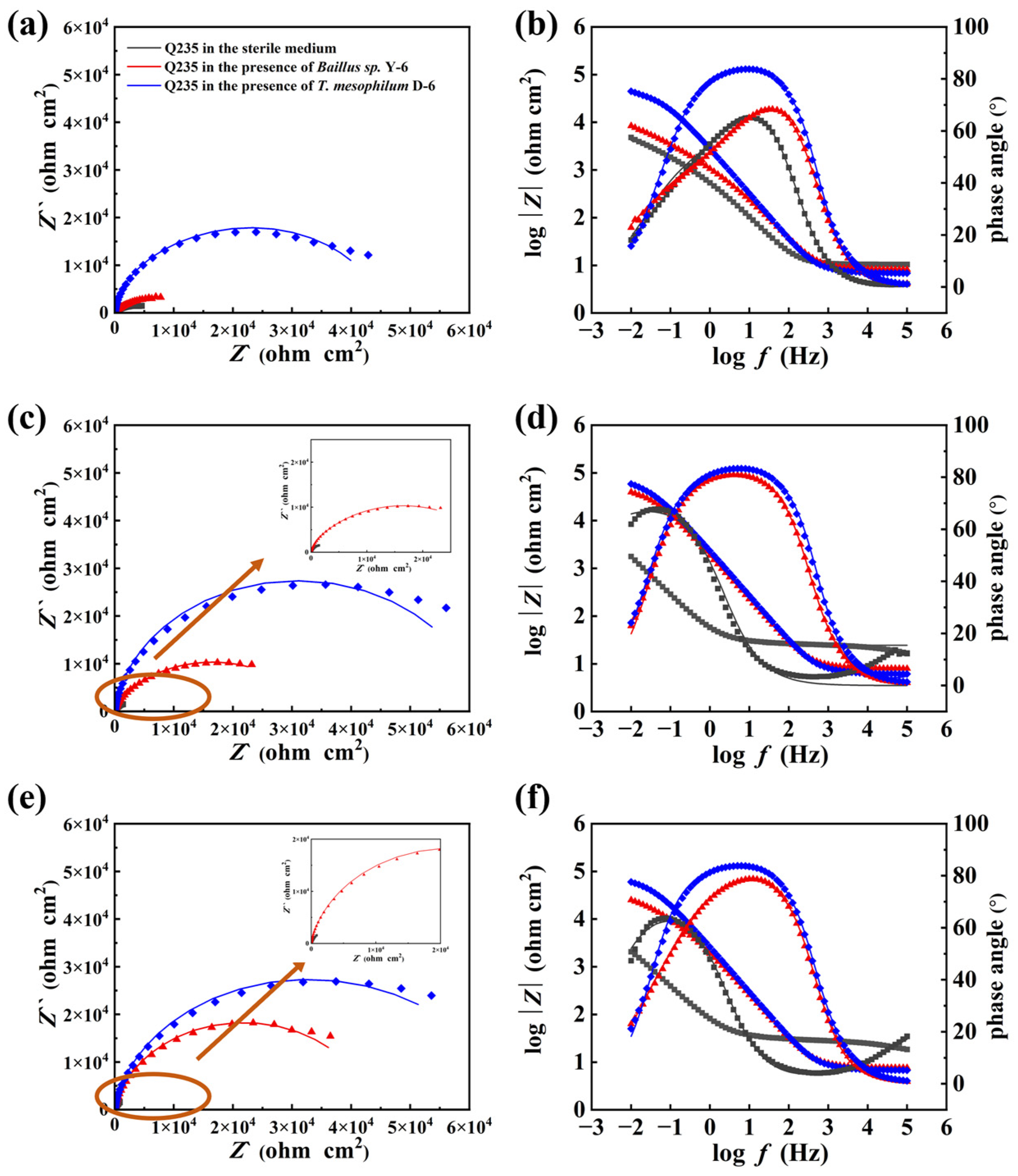 Metals 13 00649 g003
