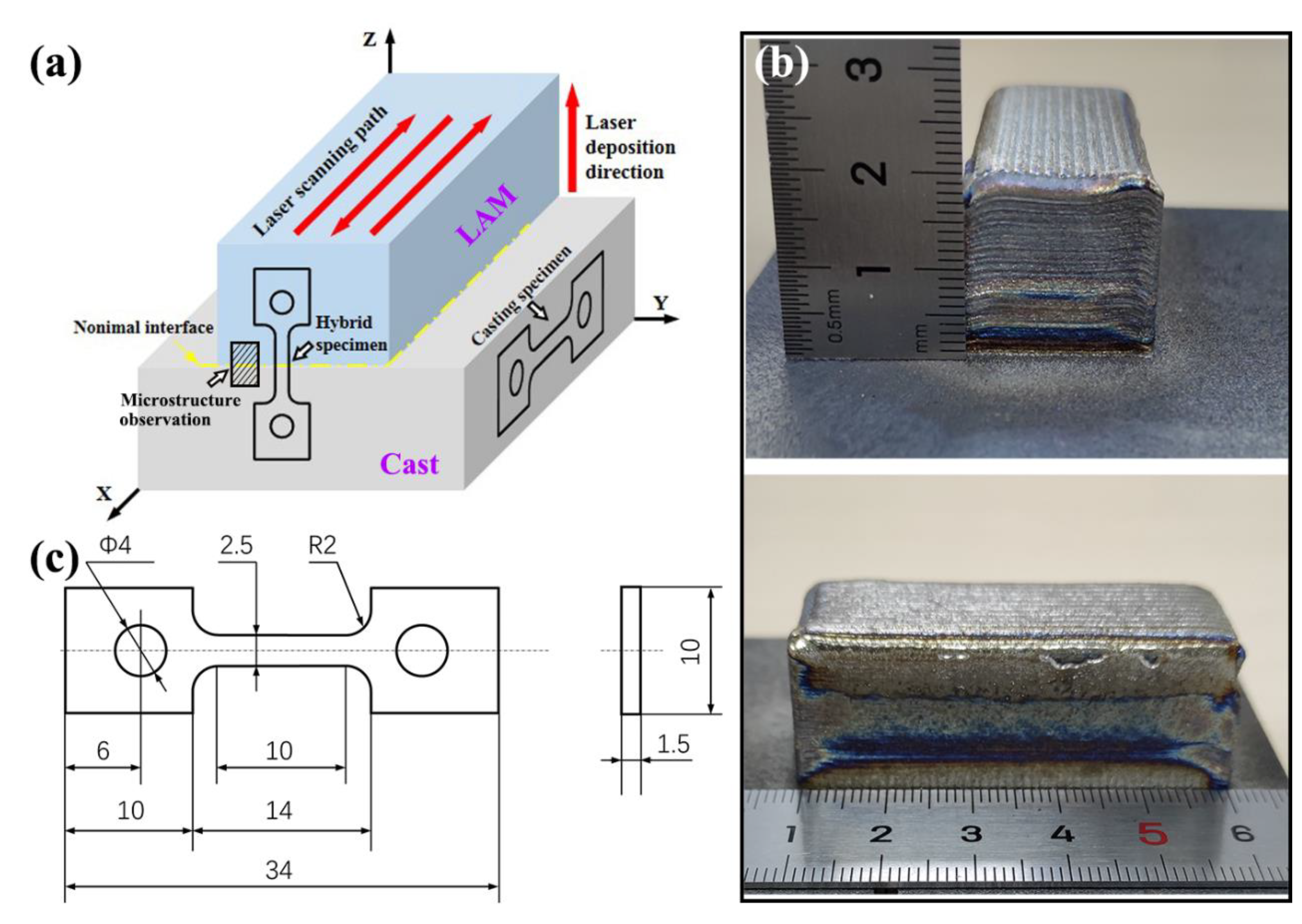 Material-structure-performance integrated laser-metal additive  manufacturing