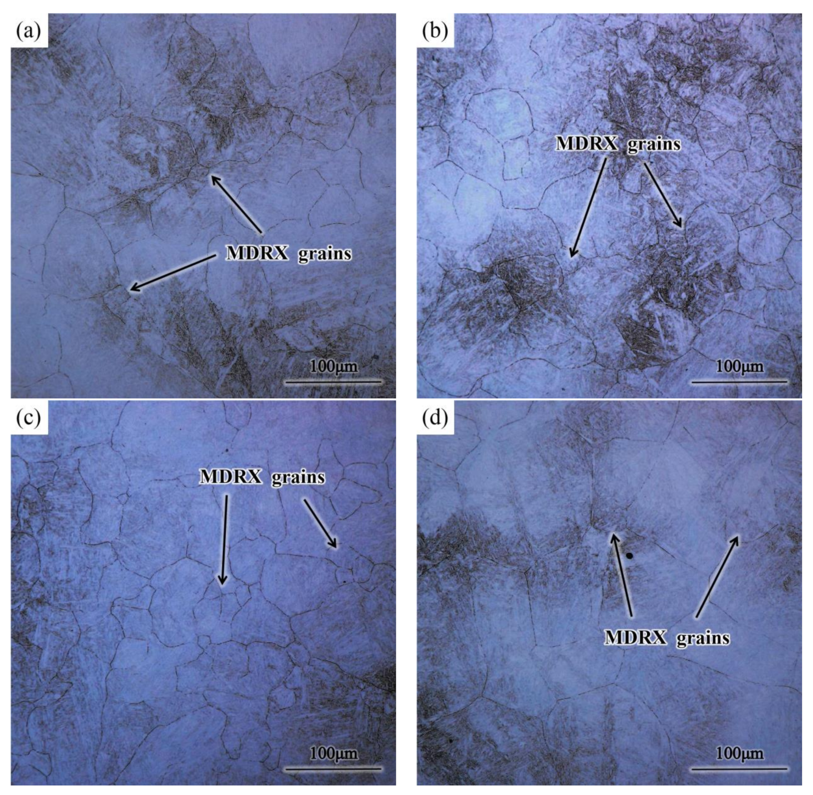 Metals 13 00696 g006