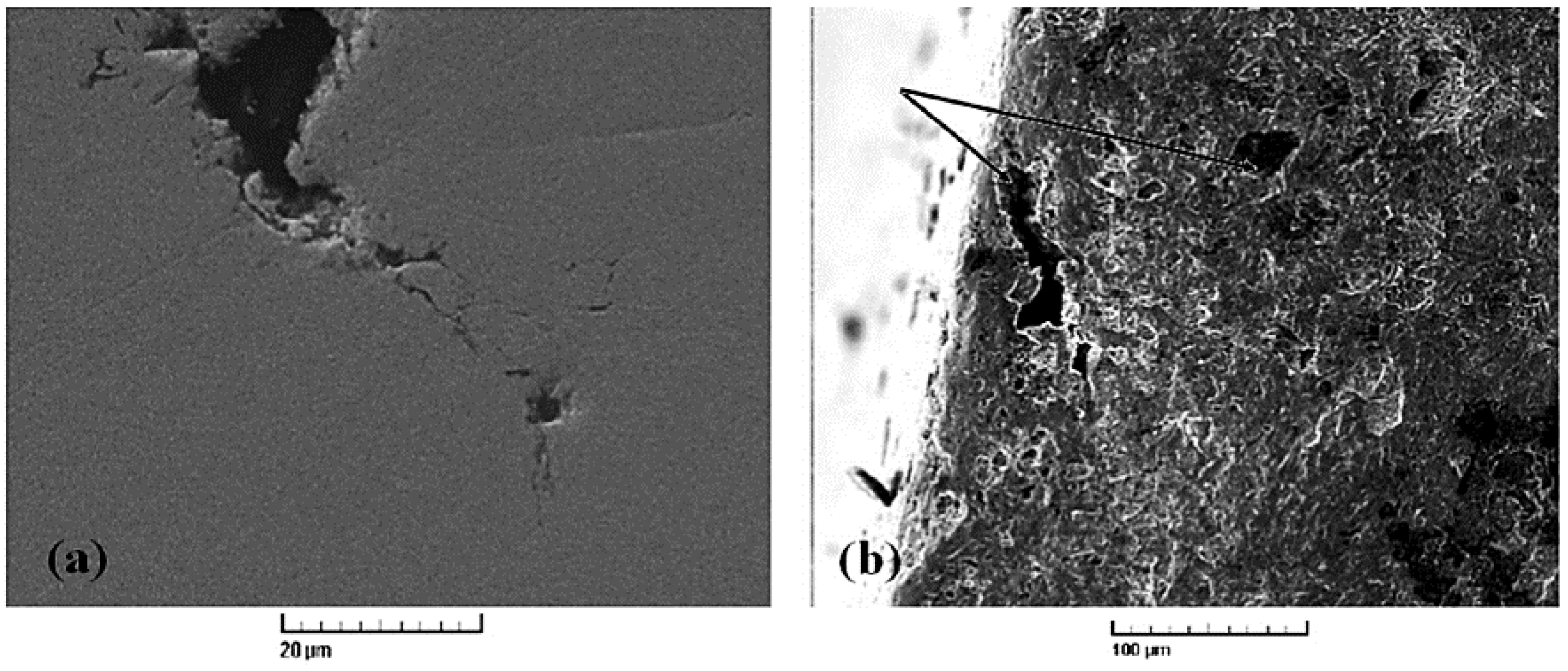 Metals 13 00701 g002