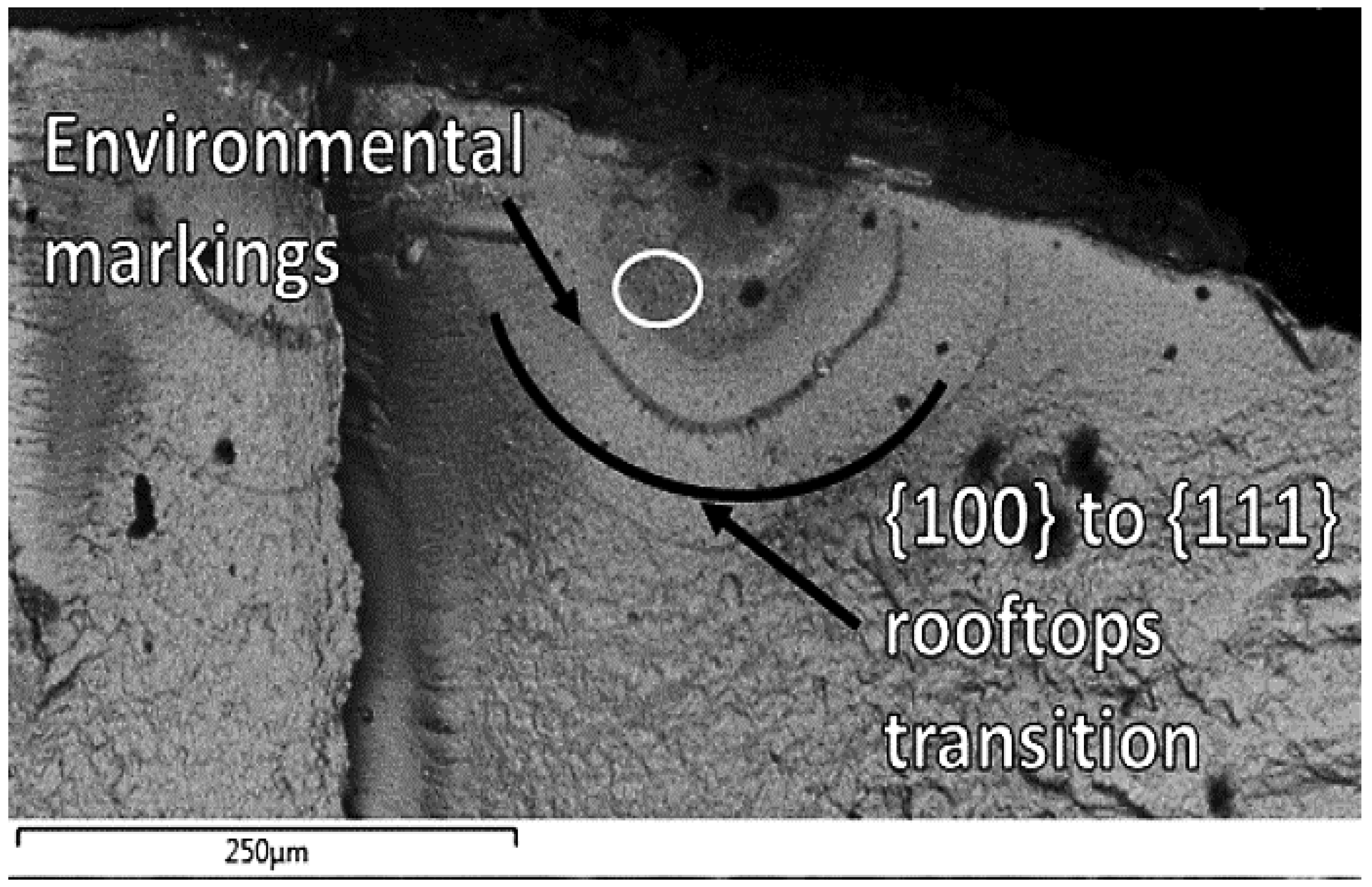 Metals 13 00701 g004