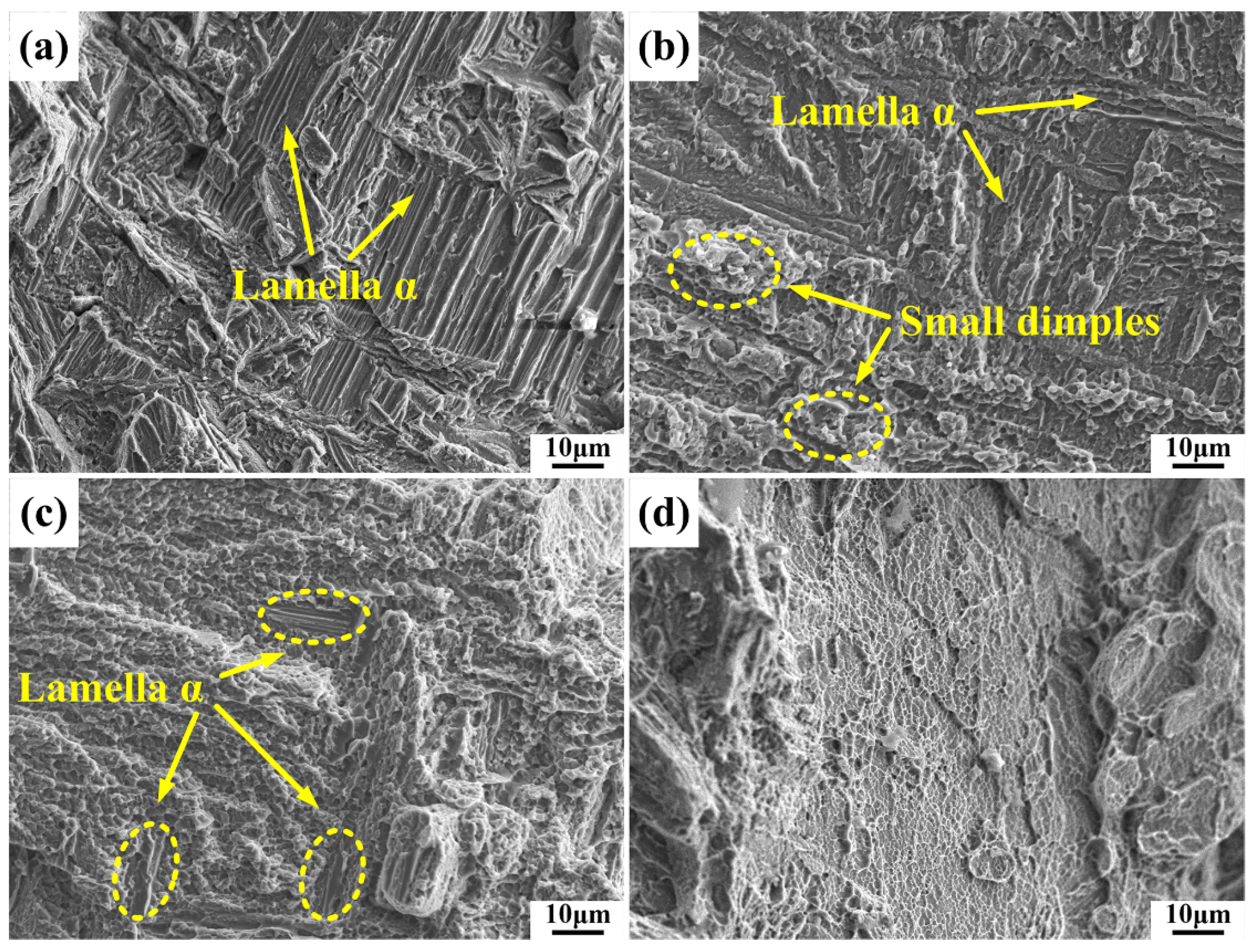 Metals 13 00708 g008