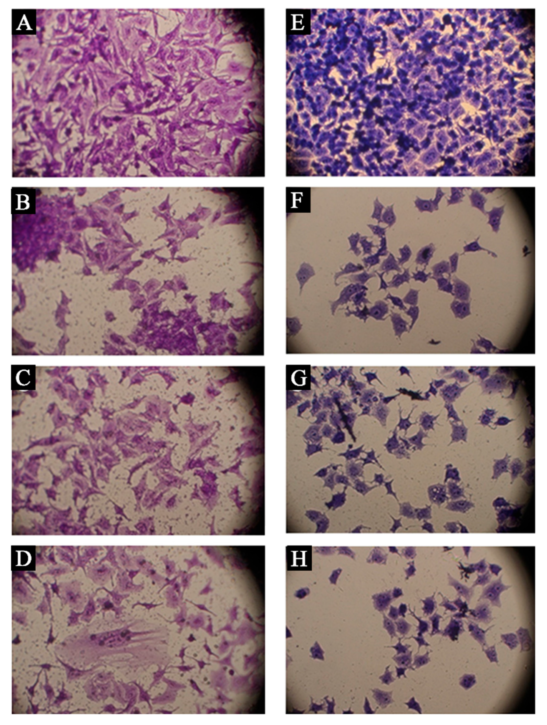 Metals 13 00735 g009 Metals 13 00735 g009