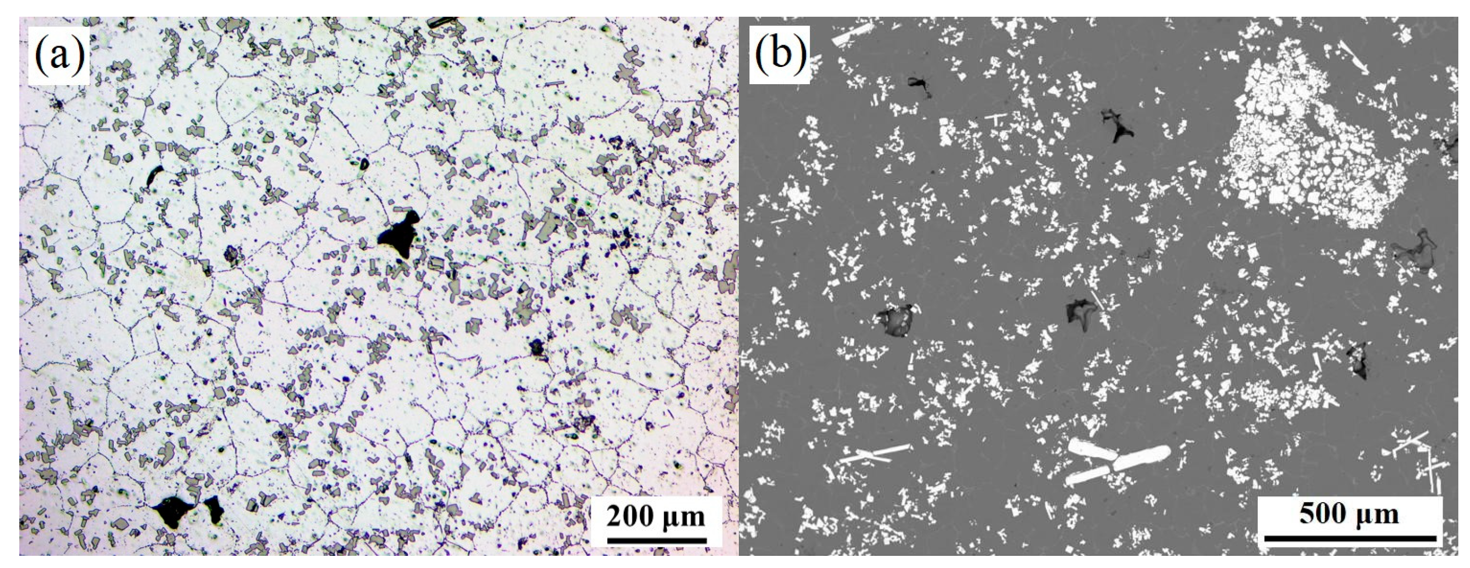 Metals 13 00749 g001 Metals 13 00749 g001