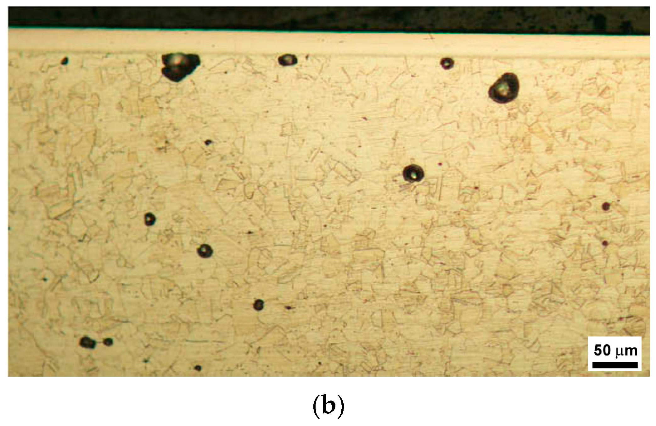 Metals 13 00776 g011b