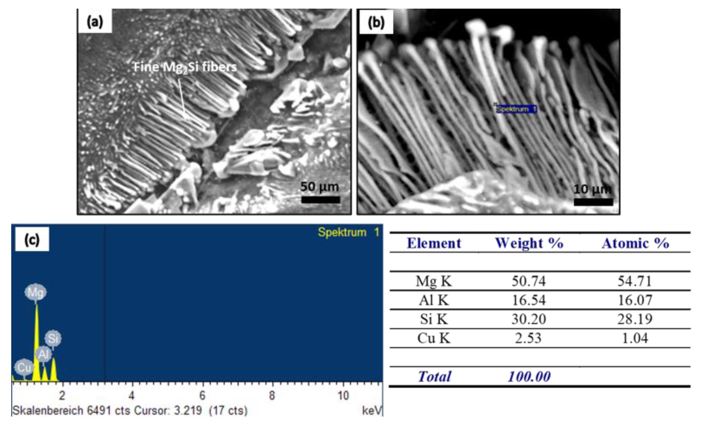 Metals 13 00784 g010