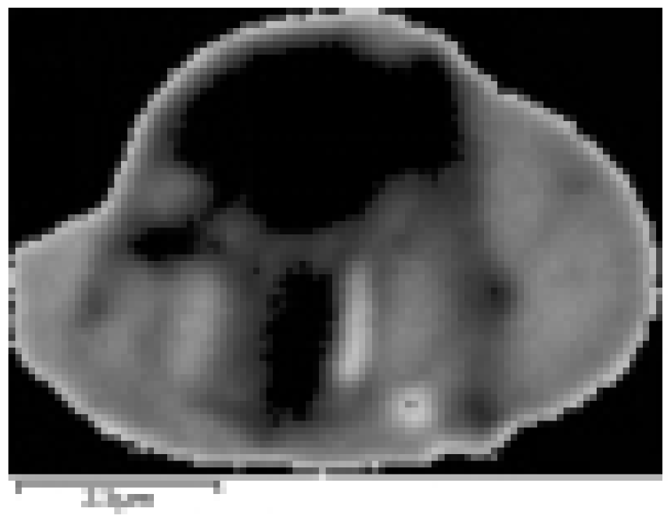 Metals 13 00793 i003