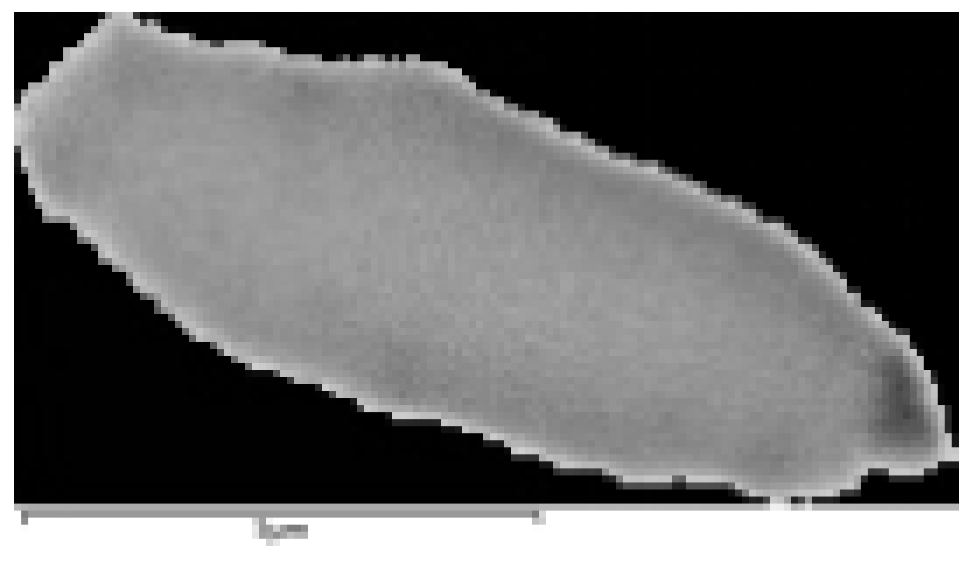 Metals 13 00793 i004