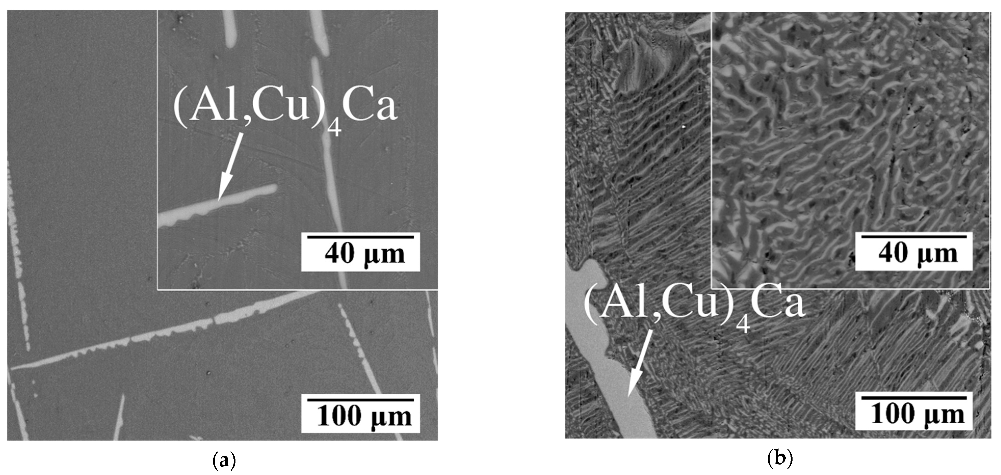 Metals 13 00802 g002a Metals 13 00802 g002a