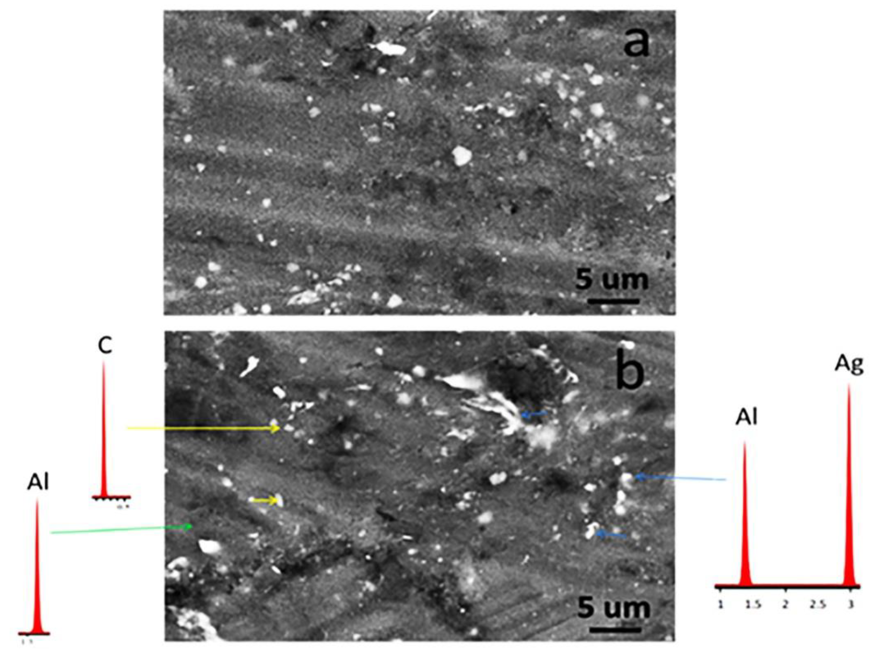 Metals 13 00836 g005