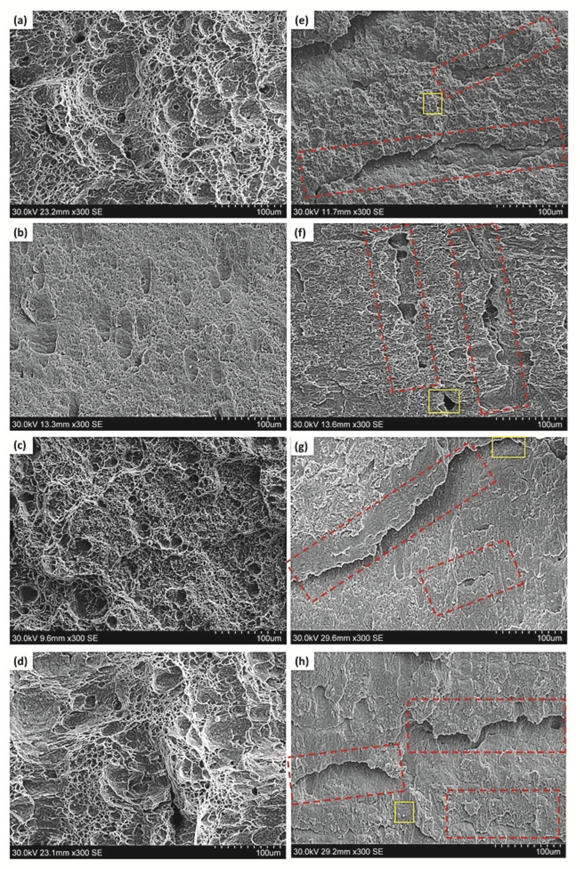 Metals 13 00841 g004 Metals 13 00841 g004