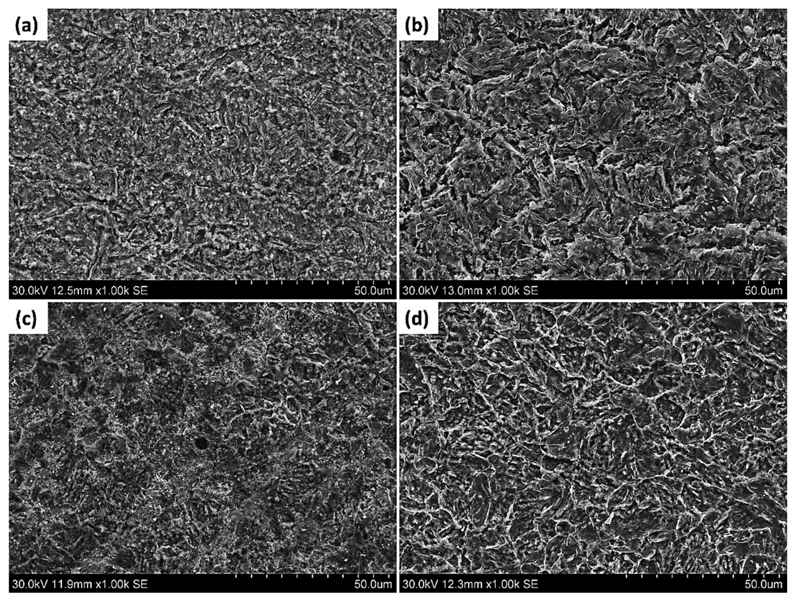 Metals 13 00841 g011 Metals 13 00841 g011