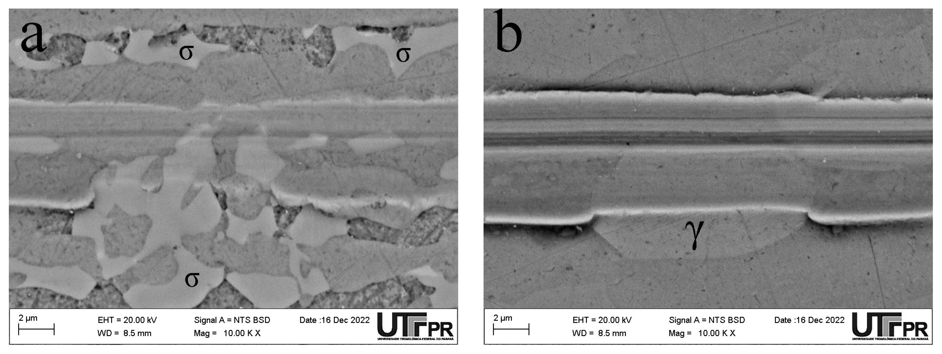 Metals 13 00864 g010