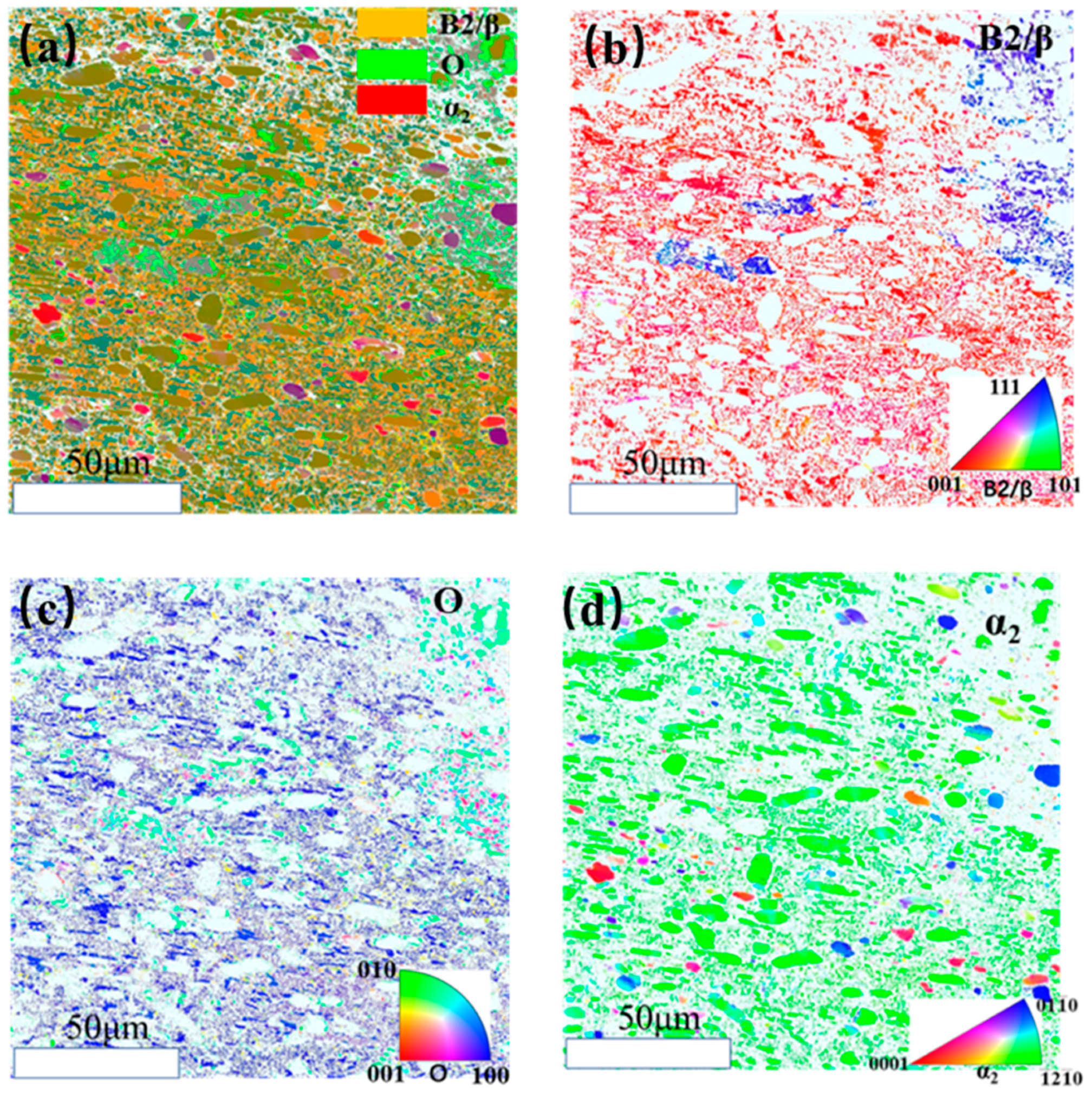 Metals 13 00886 g008