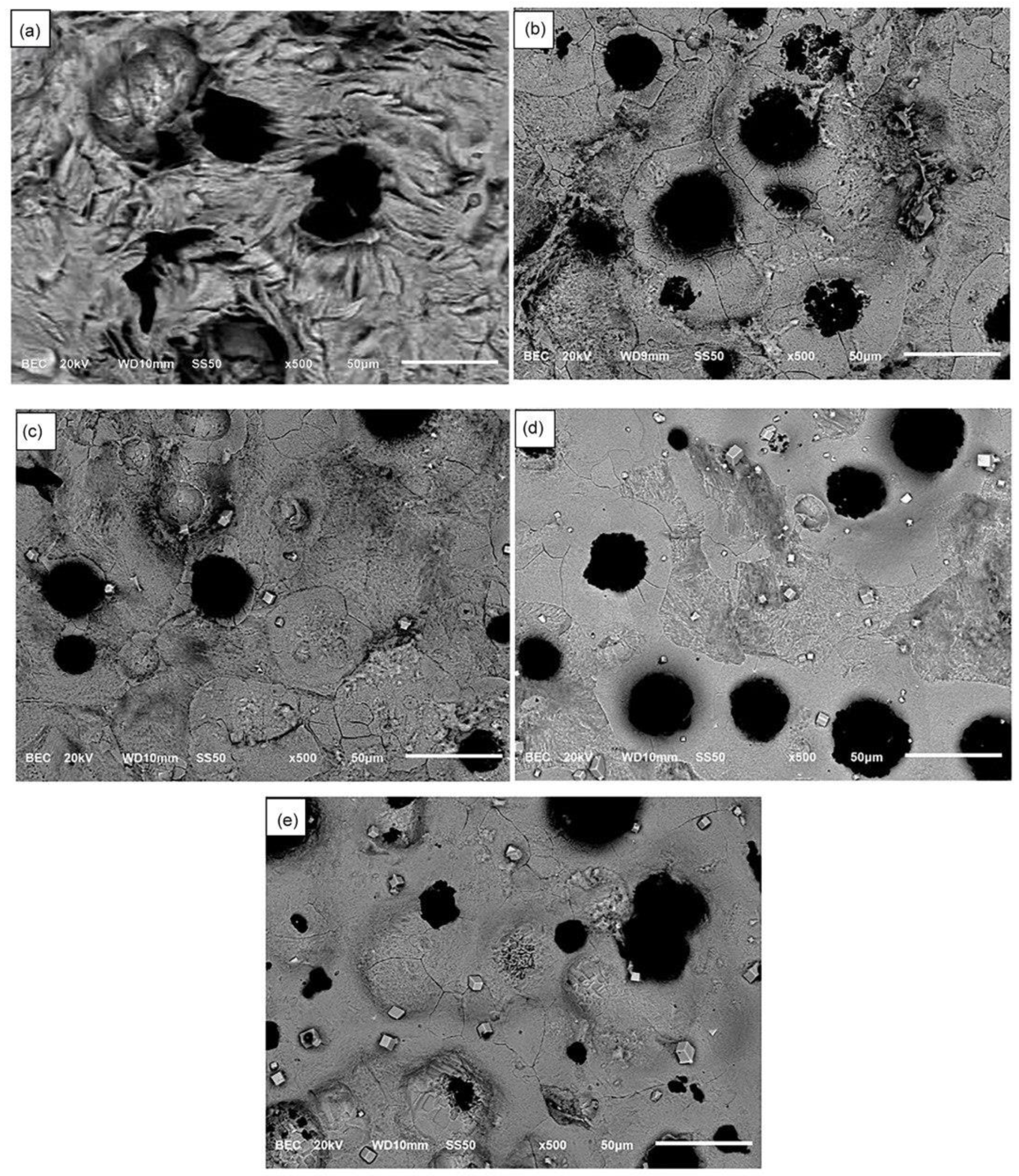 Metals 13 00917 g013