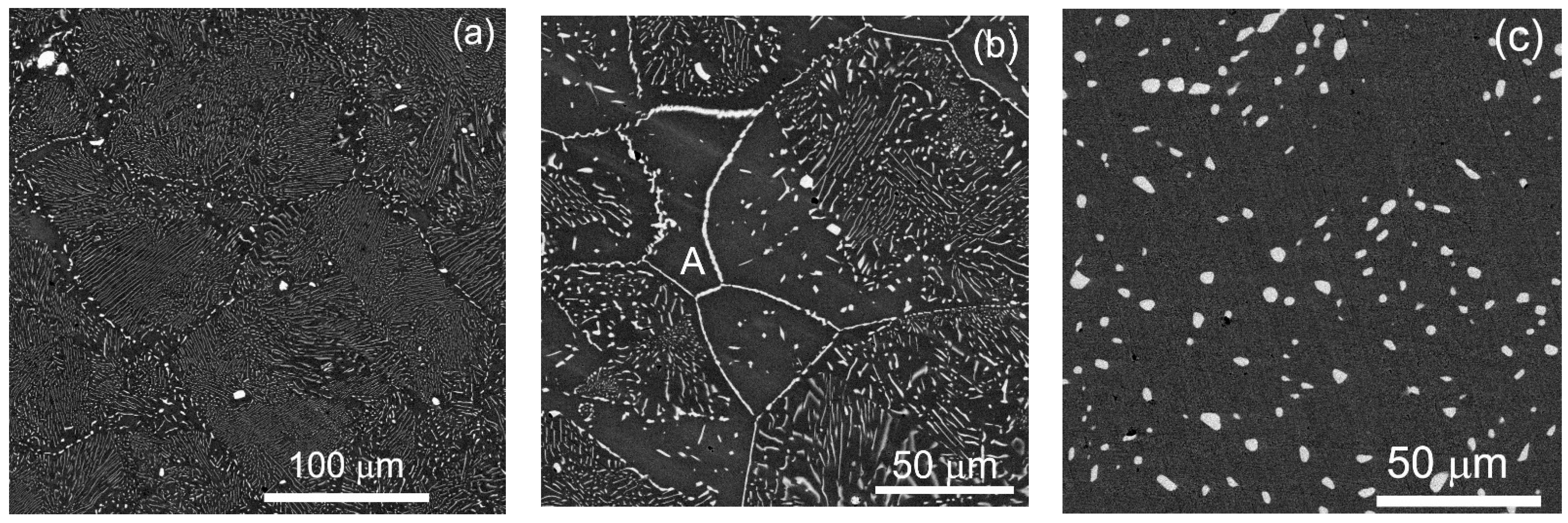 Metals 13 00929 g010