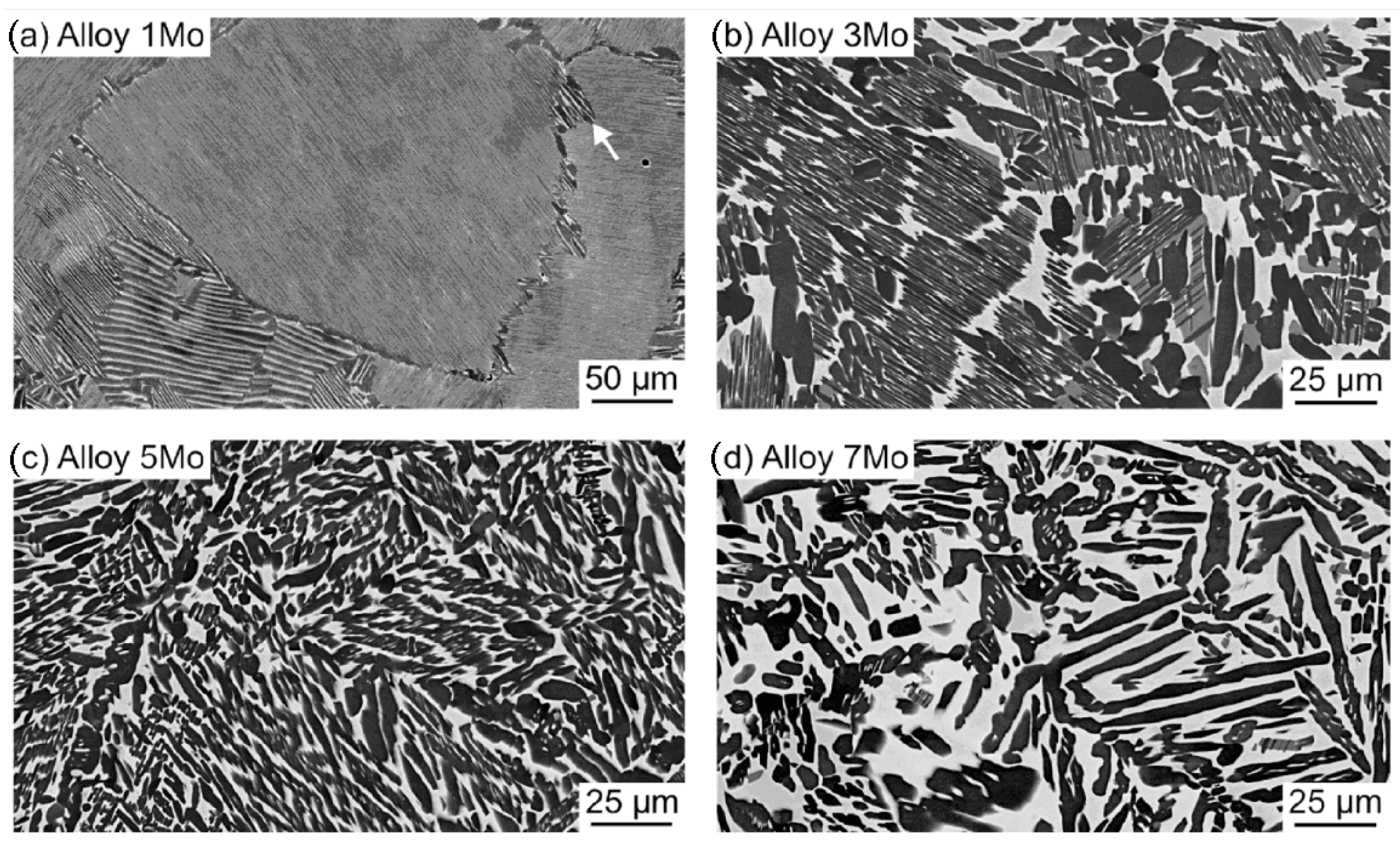 Metals 13 00929 g020