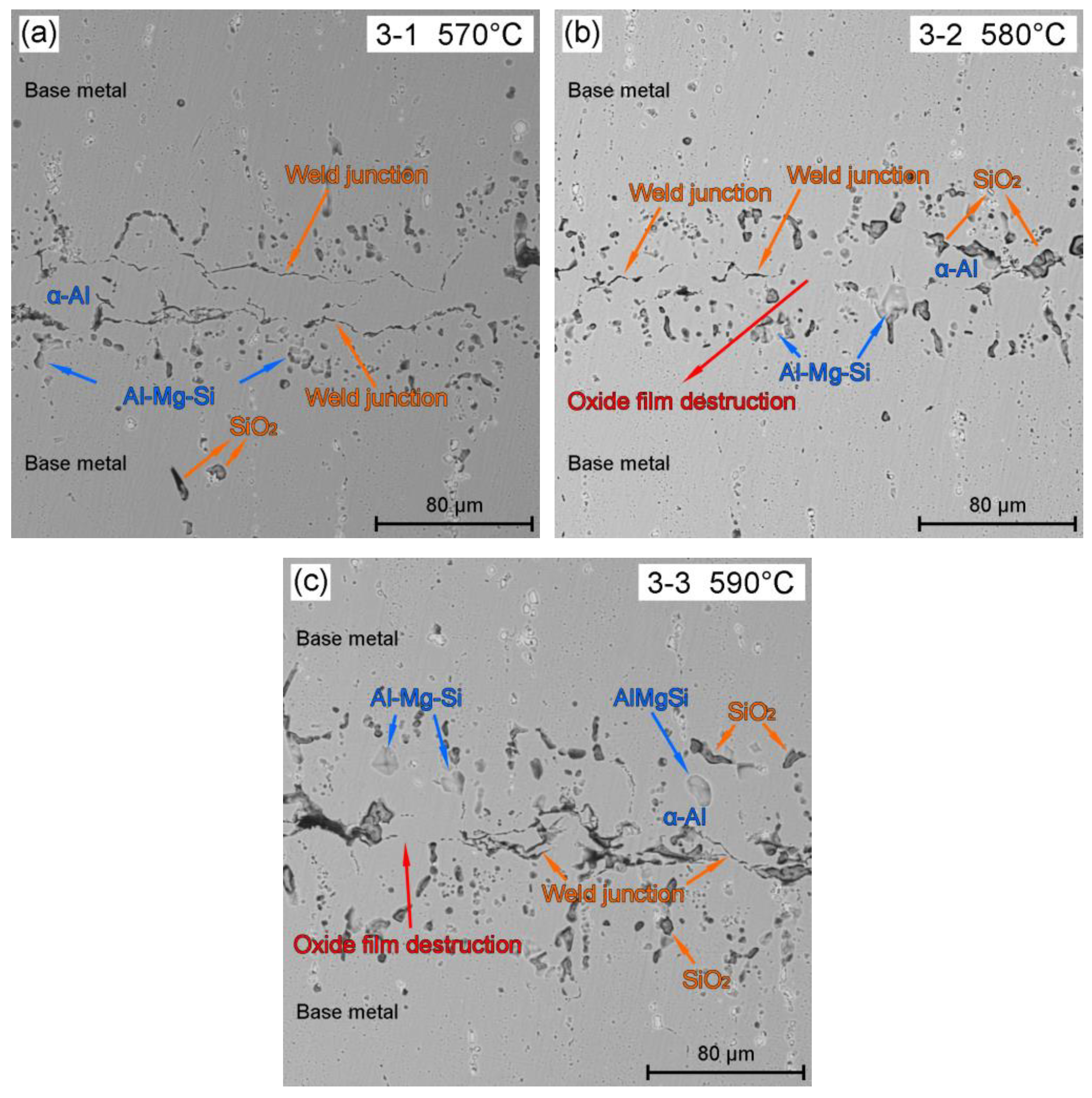 Metals 13 01048 g008