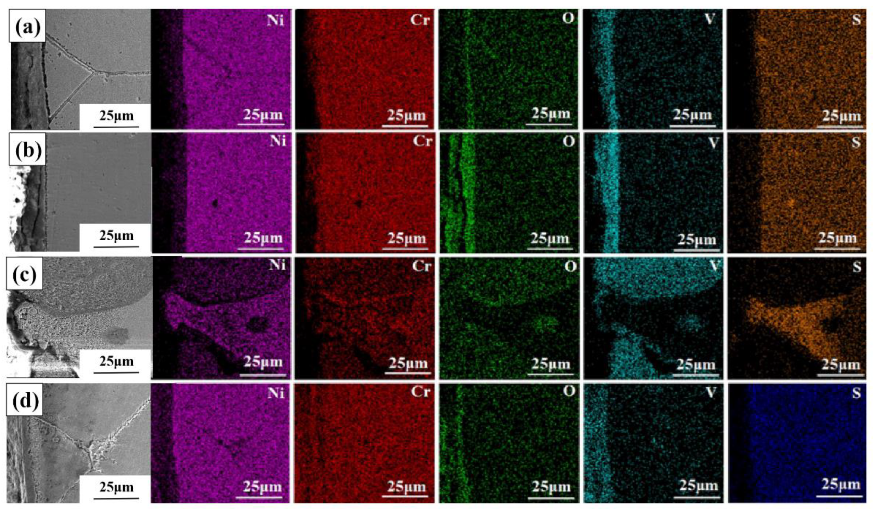 Metals 13 01069 g007