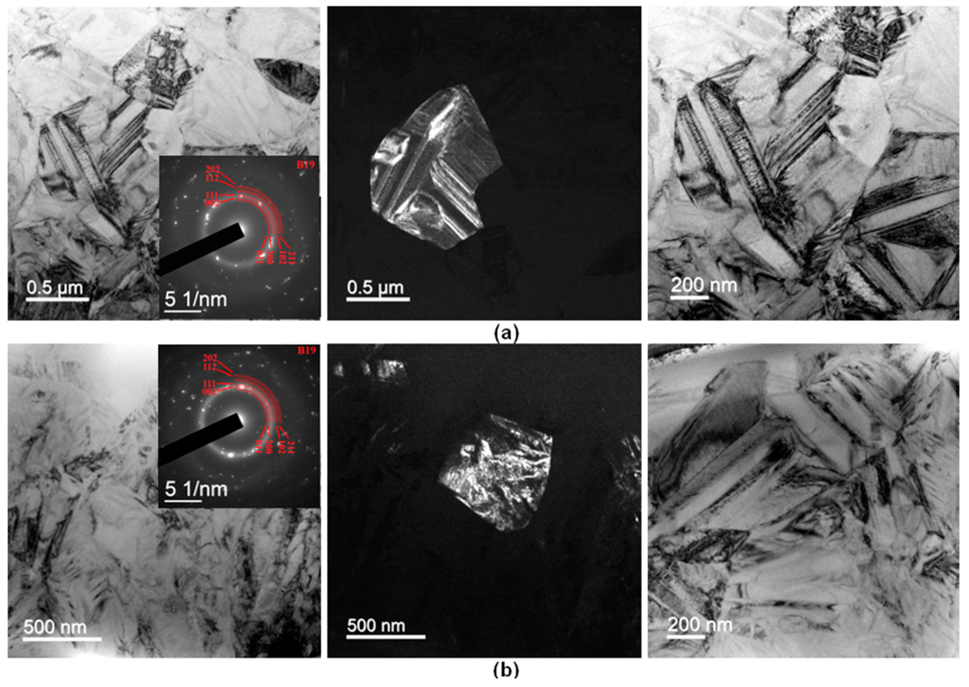Metals 13 01175 g010