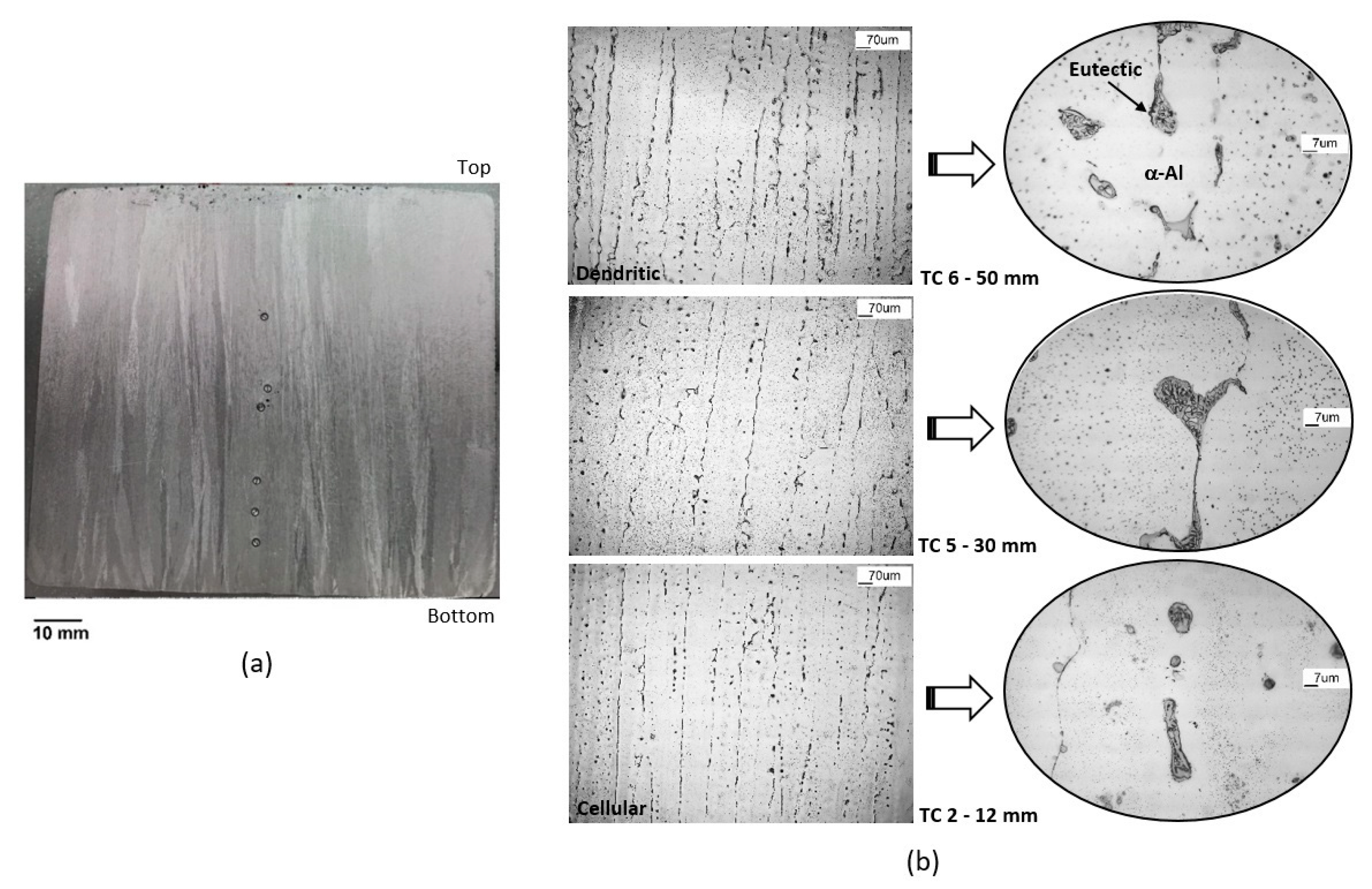 Metals 13 01178 g007