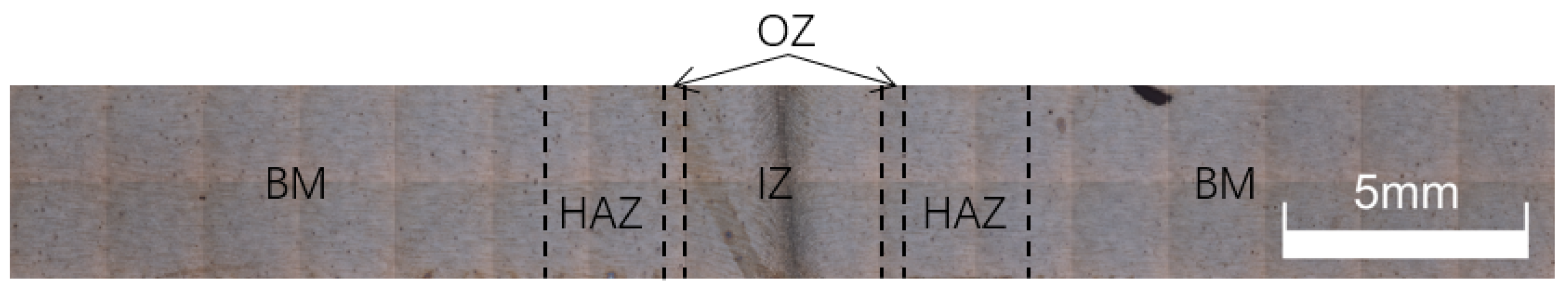 Metals 13 01200 g008