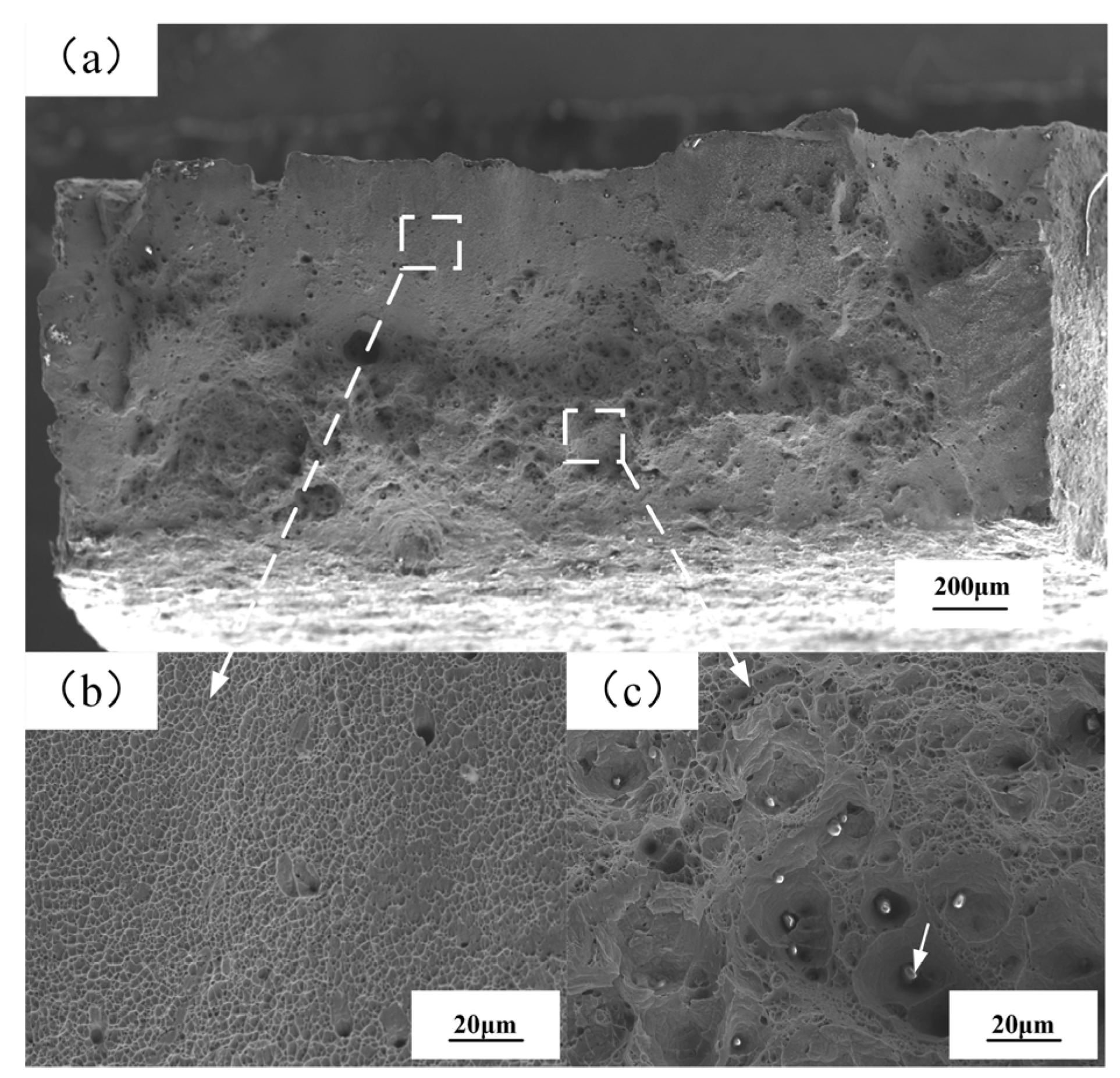 Metals 13 01200 g016