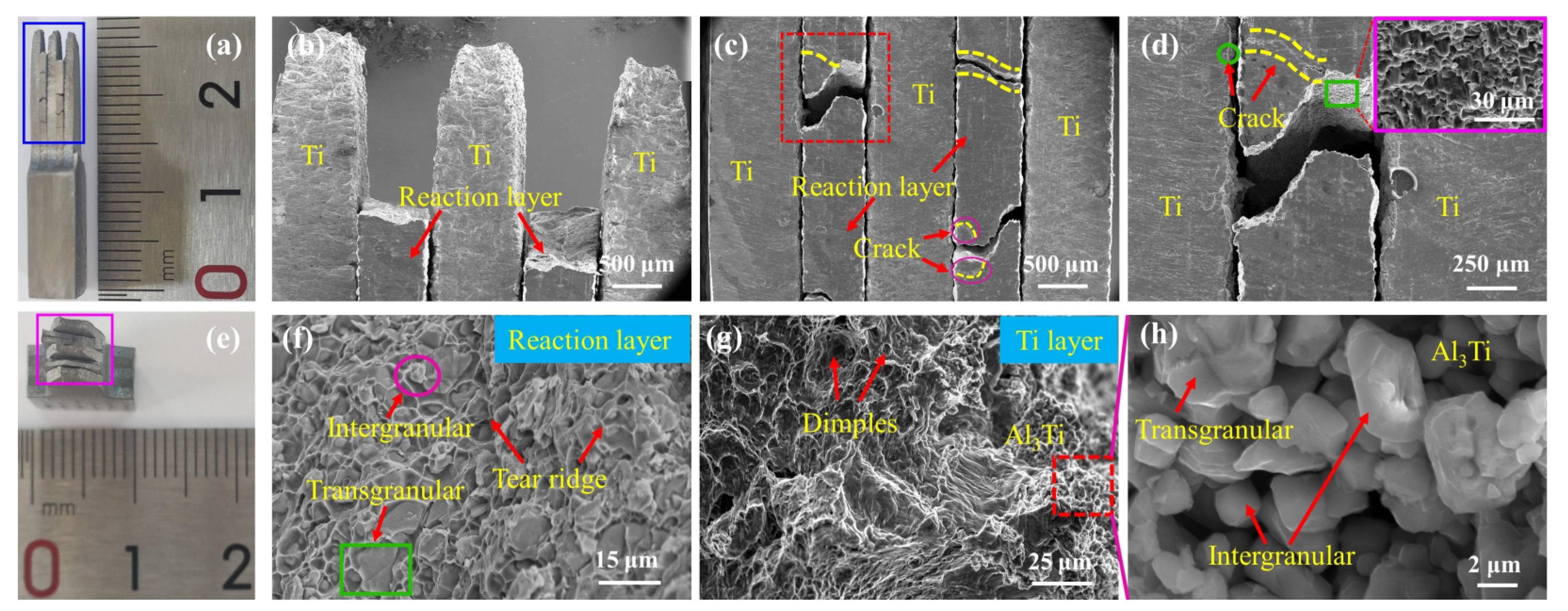 Metals 13 01227 g007