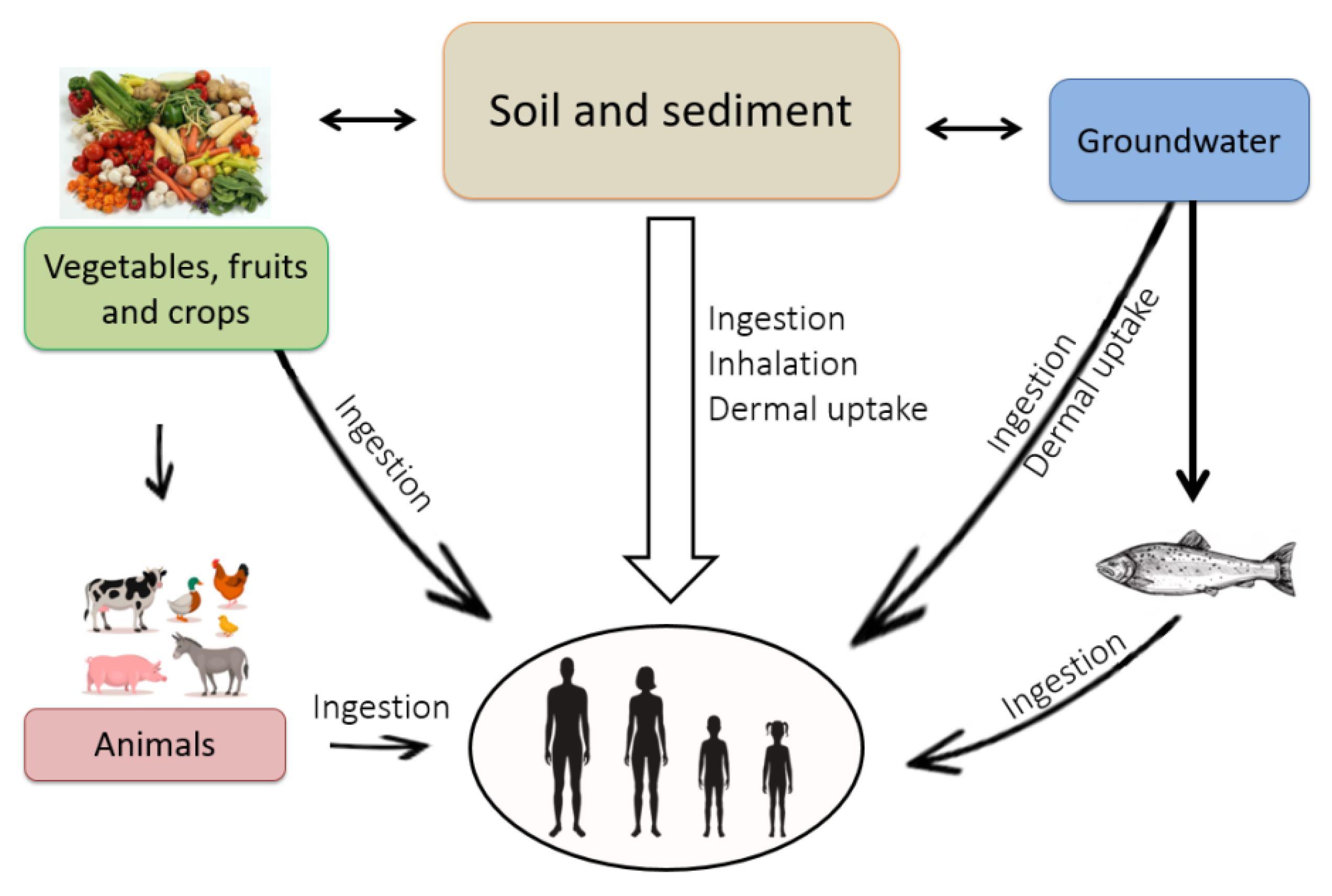 Evaluation of Exposure Concentrations Used in Assessing Manufactured  Nanomaterial Environmental Hazards: Are They Relevant?