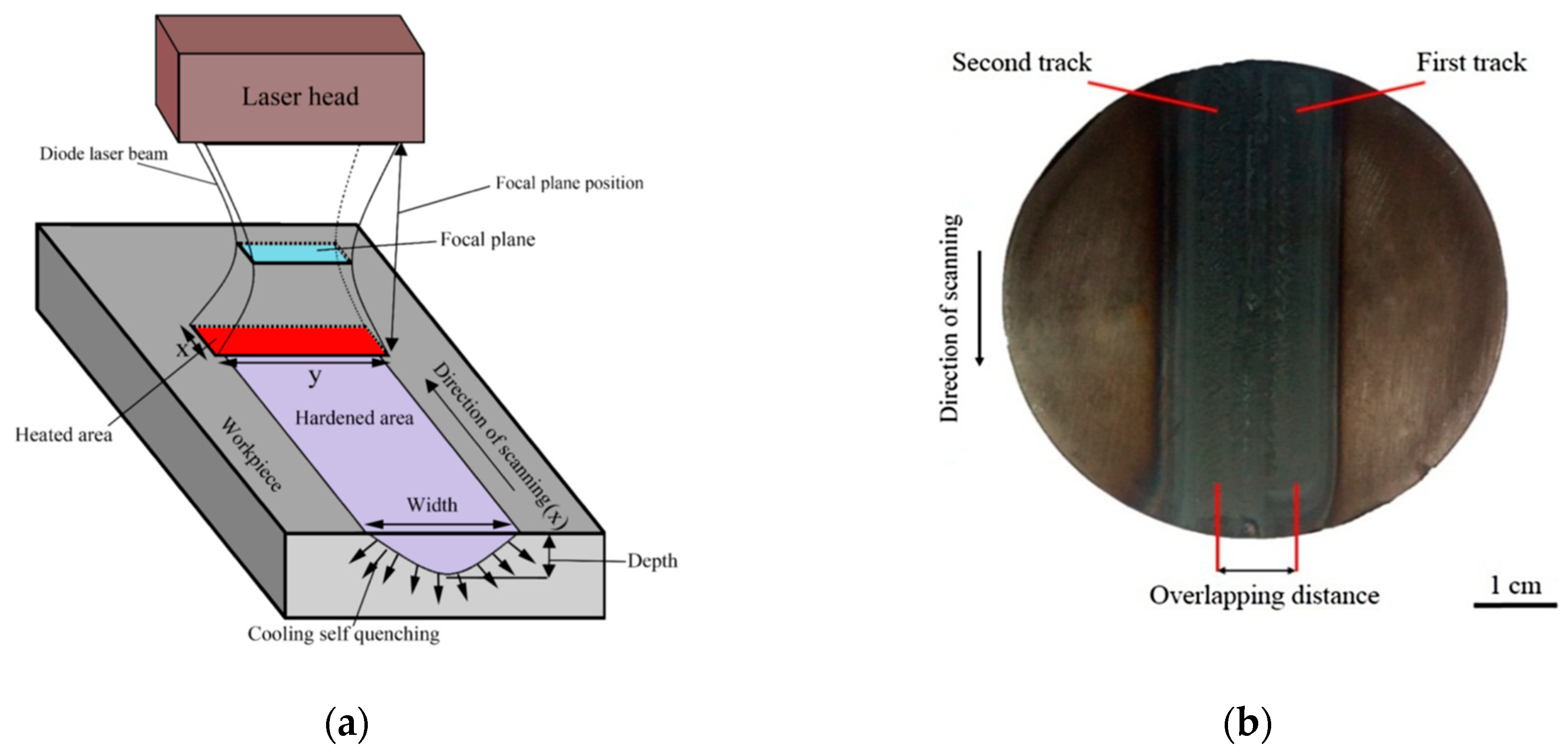 Metals | Free Full-Text | Overview Of Surface Modification Strategies ...