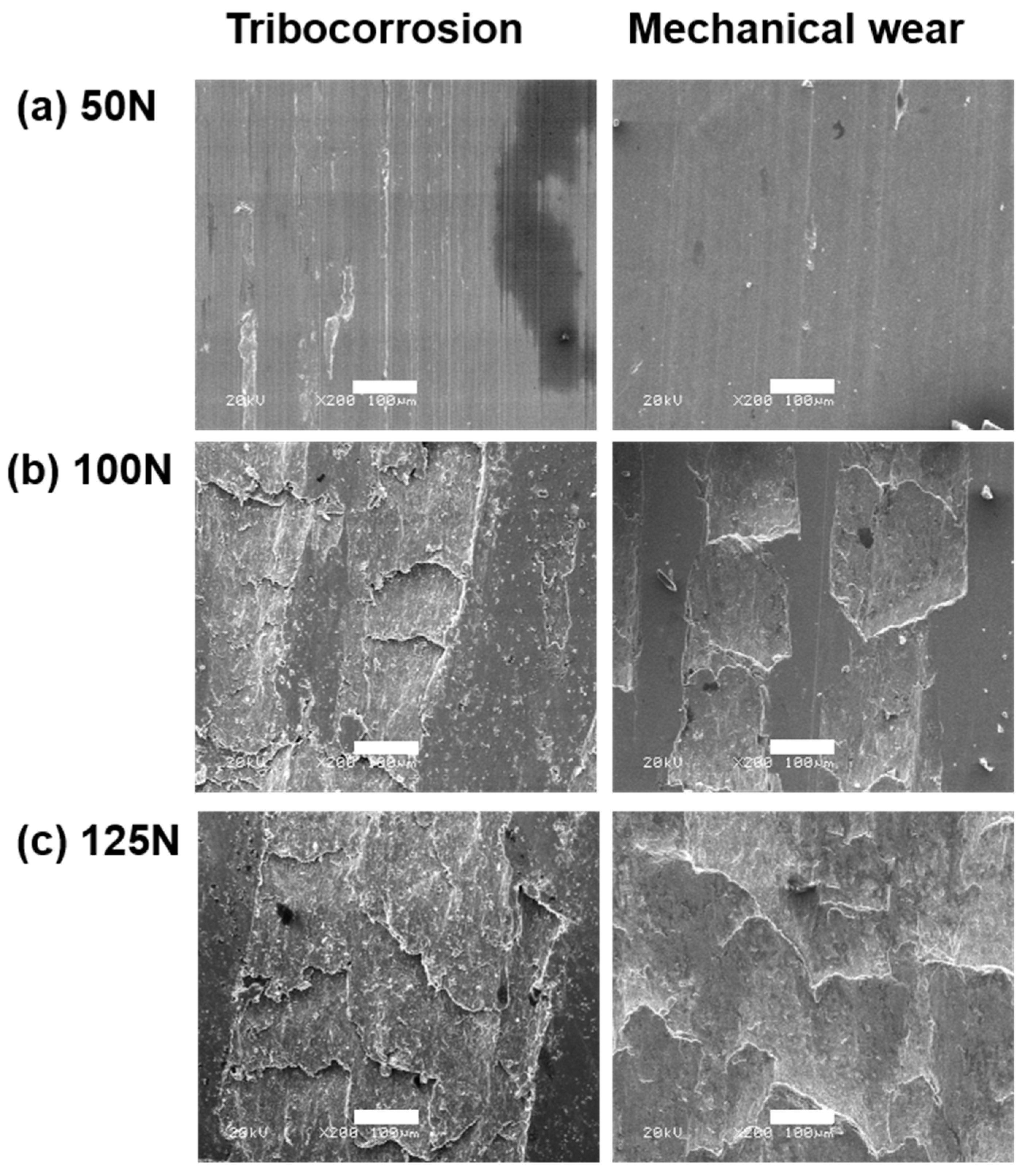 Metals 13 01287 g006