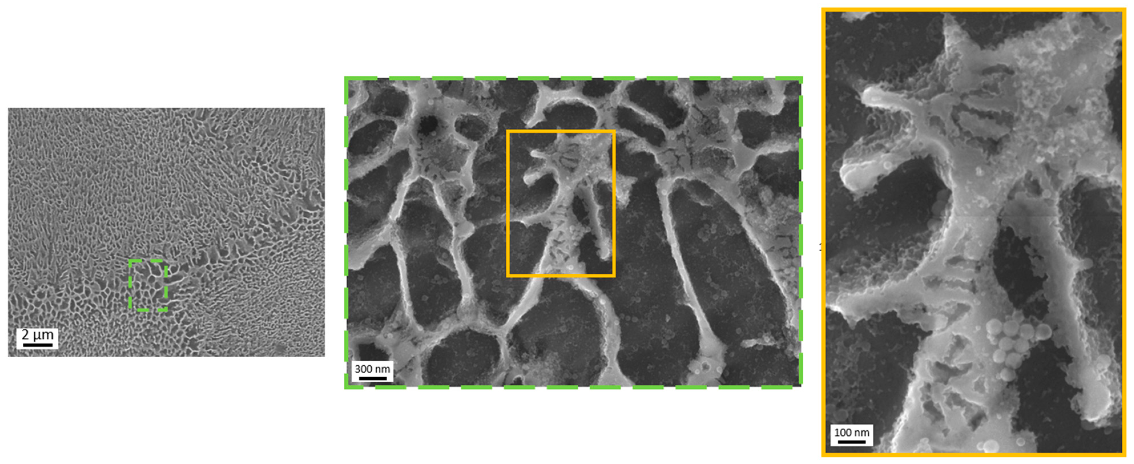 Metals 13 01315 g010 Metals 13 01315 g010