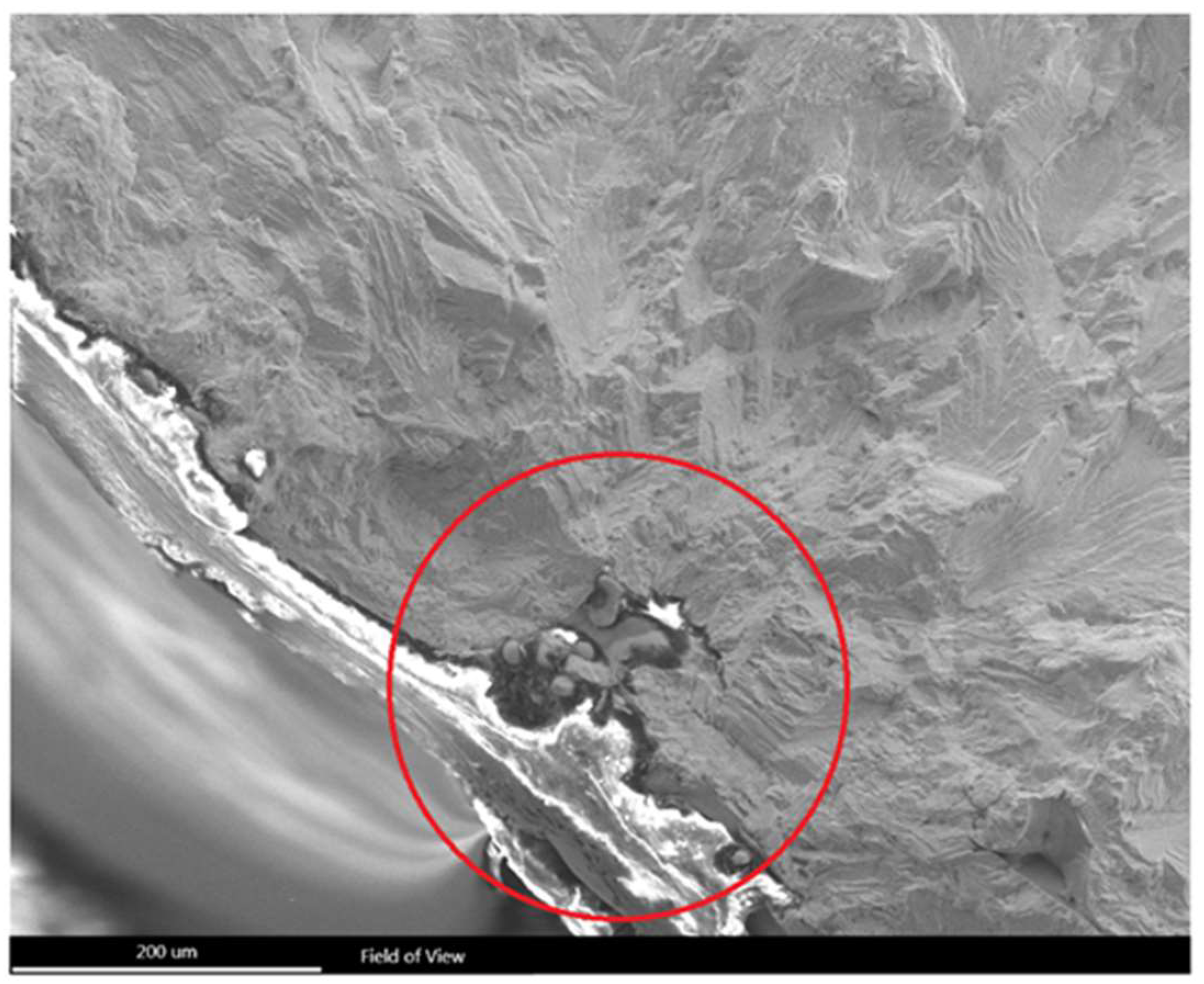 Metals 13 01370 g009