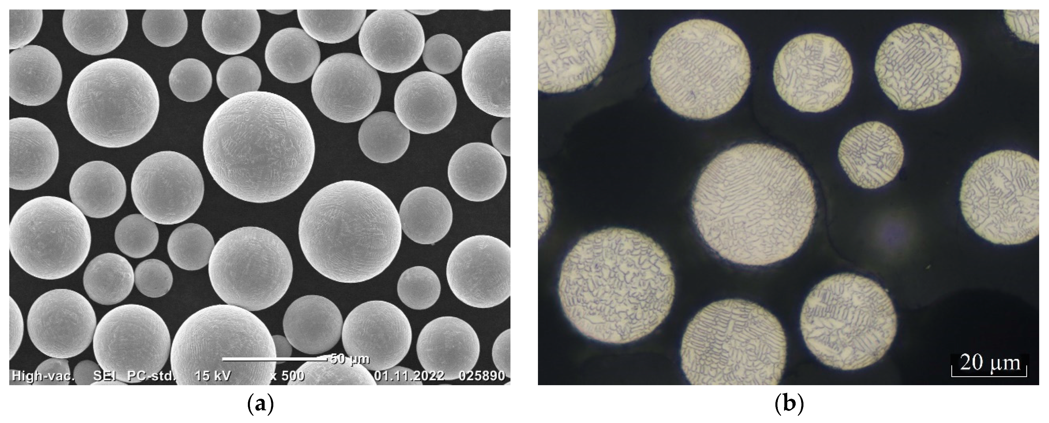 Metals 13 01397 g001 Metals 13 01397 g001