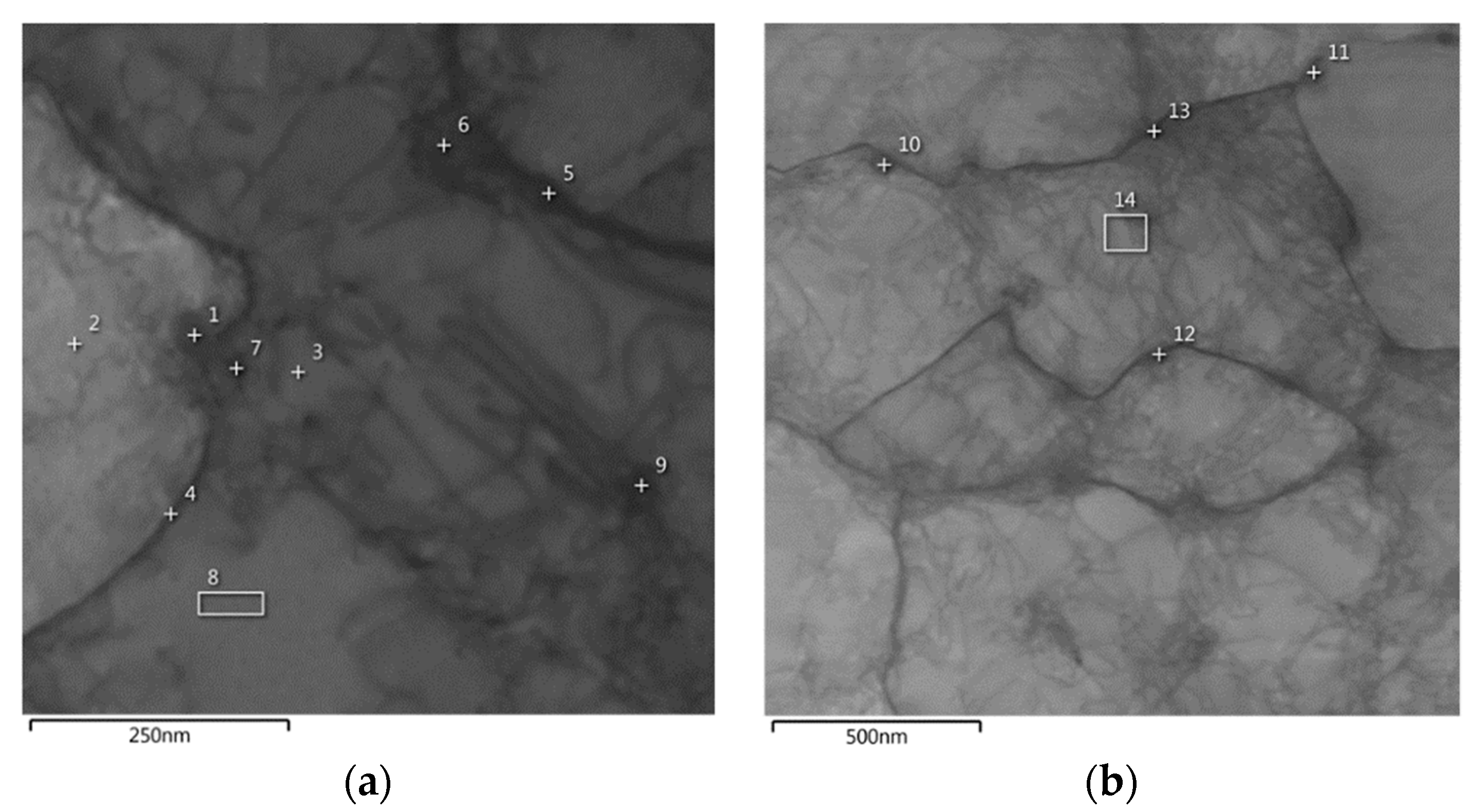 Metals 13 01397 g007 Metals 13 01397 g007