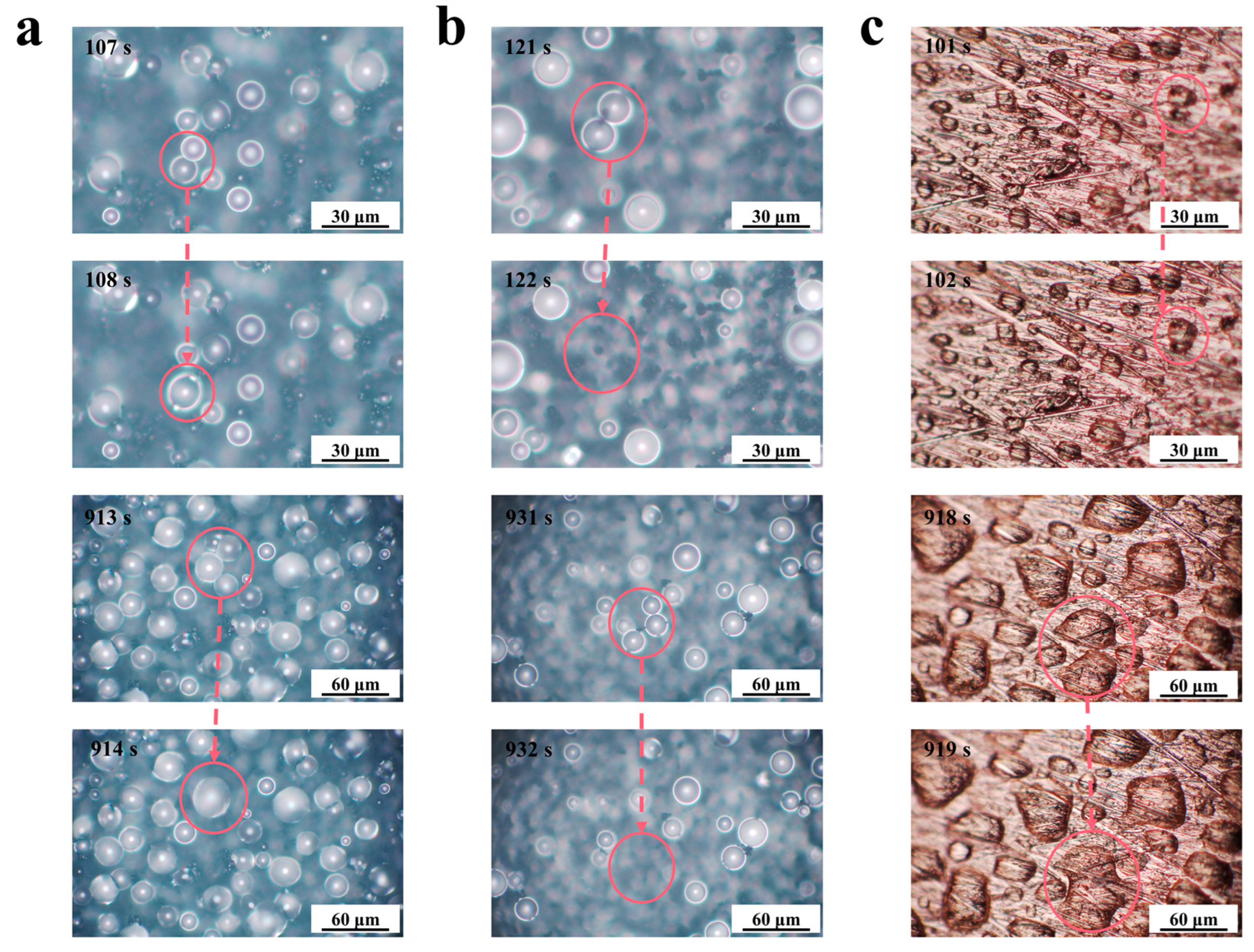 Metals 13 01413 g005