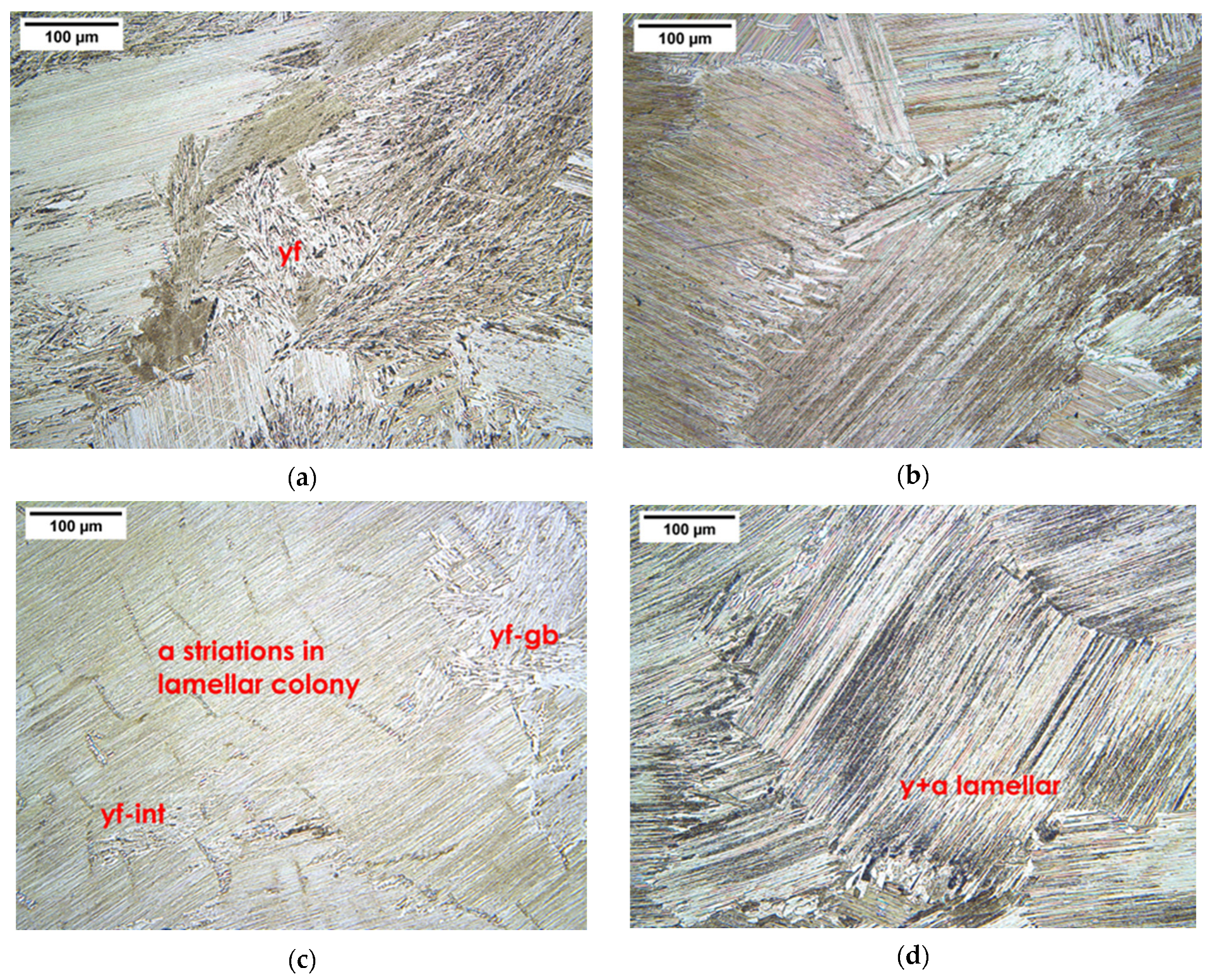 Metals 13 01420 g004a