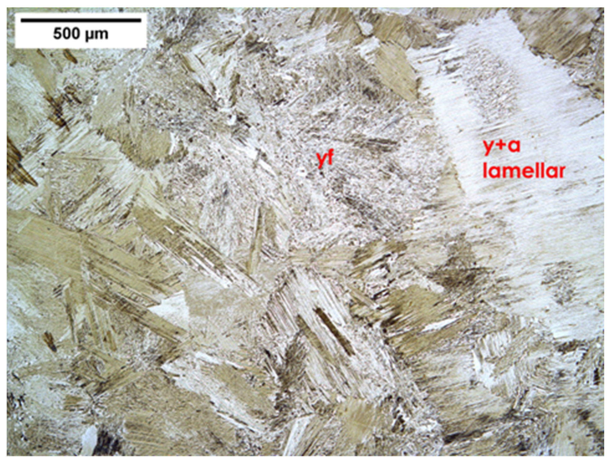 Metals 13 01420 g008