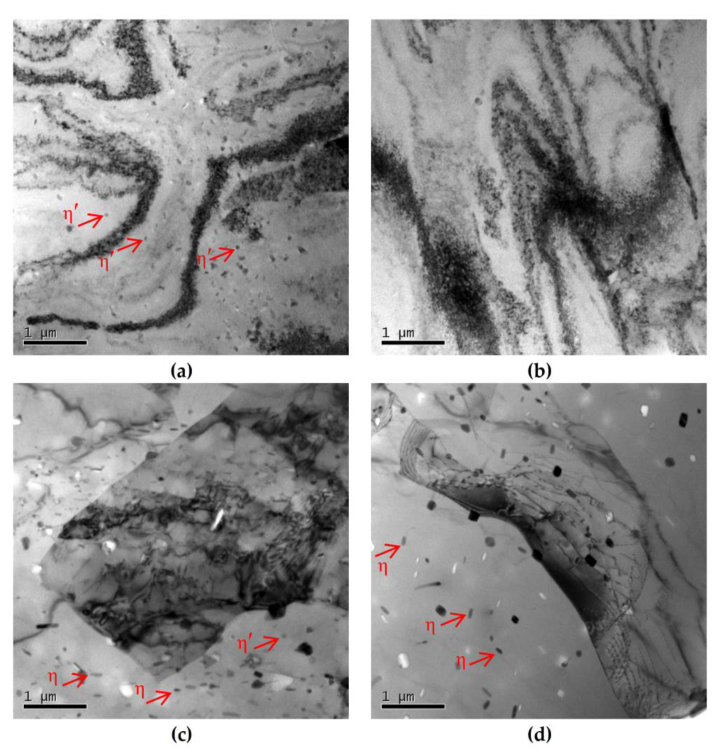 Metals 13 01456 g008