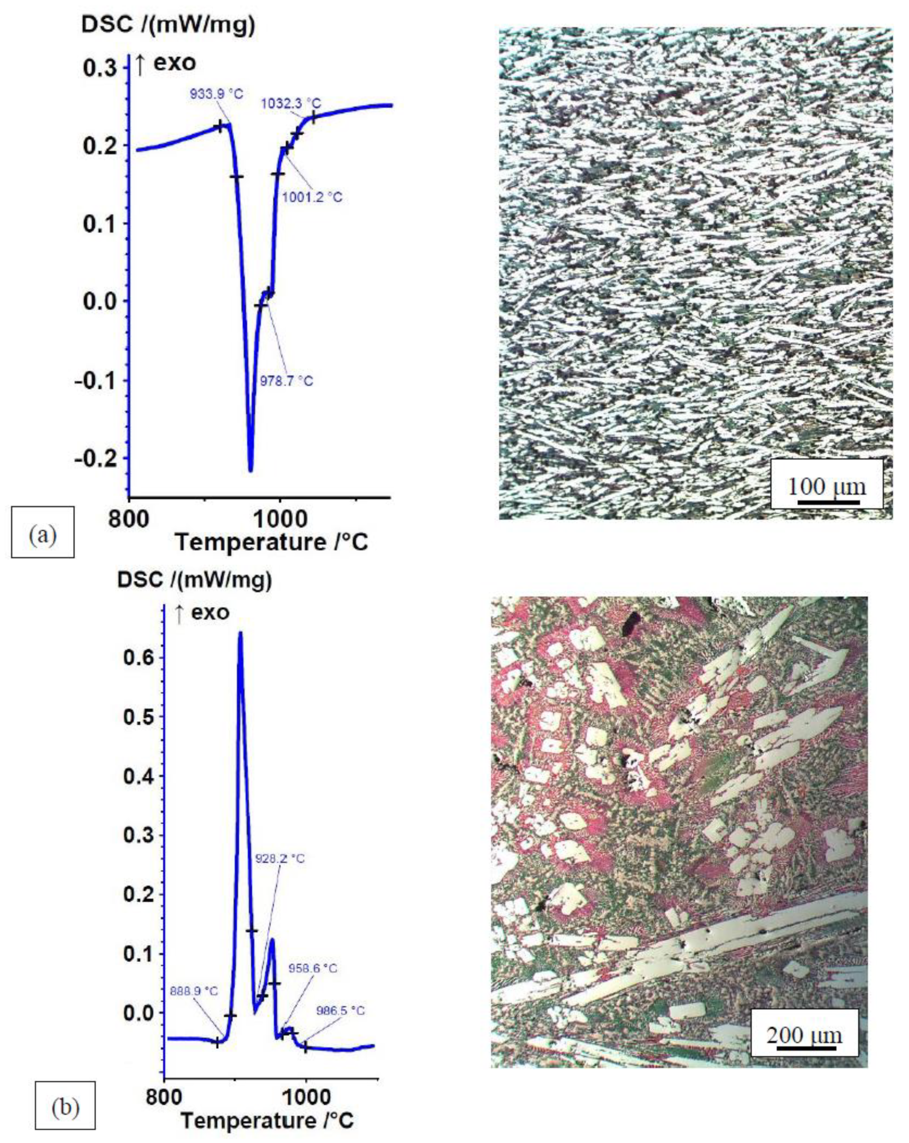 Metals 13 01513 g003