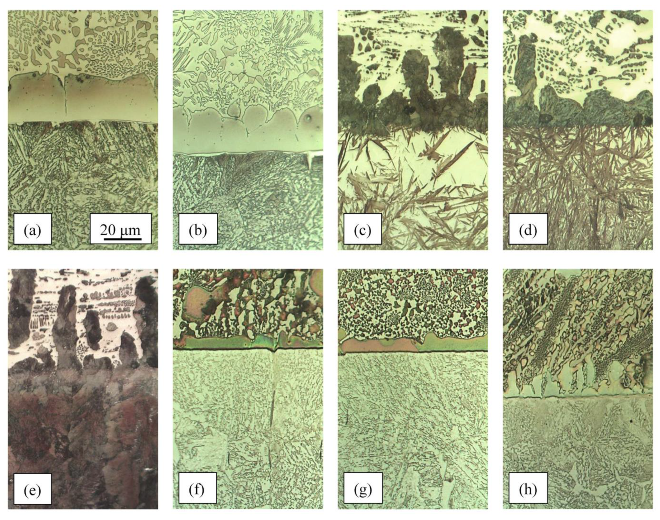 Metals 13 01513 g007