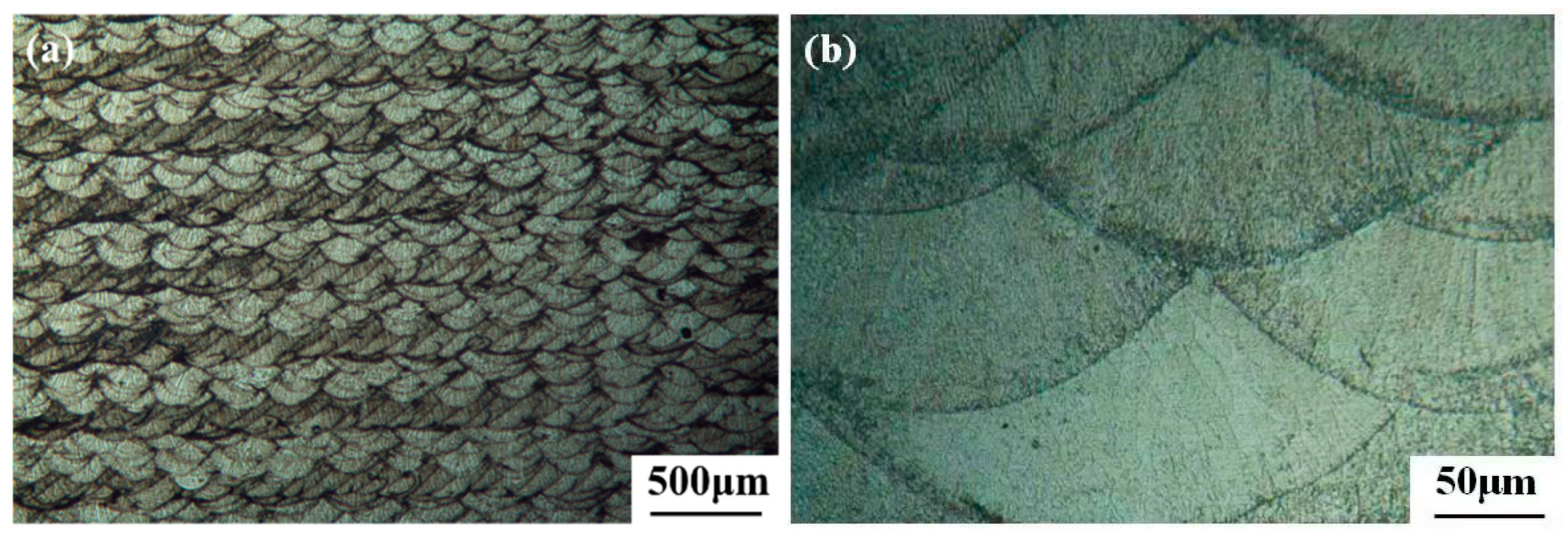 Metals 13 01520 g006