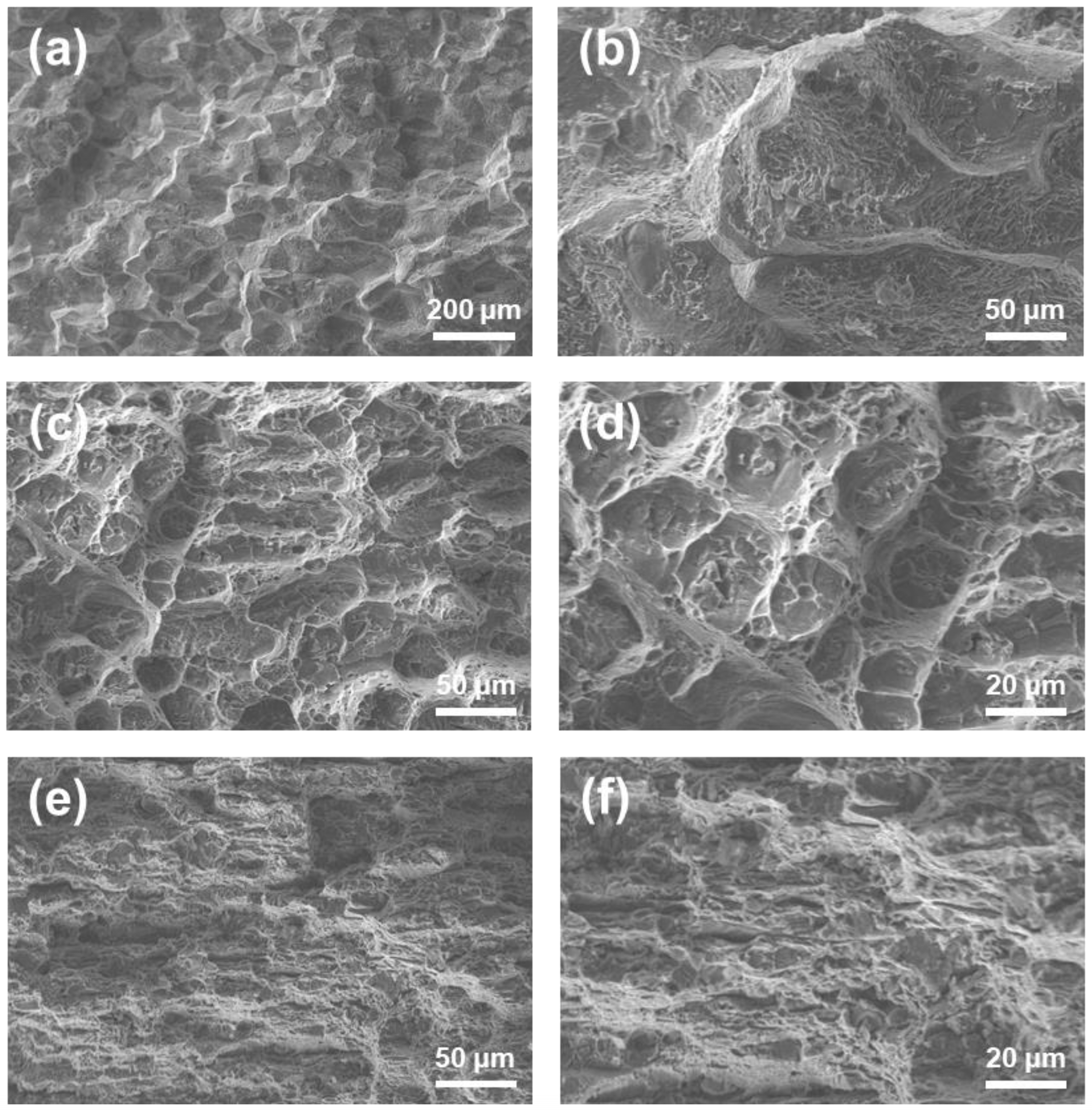 Metals 13 01564 g007