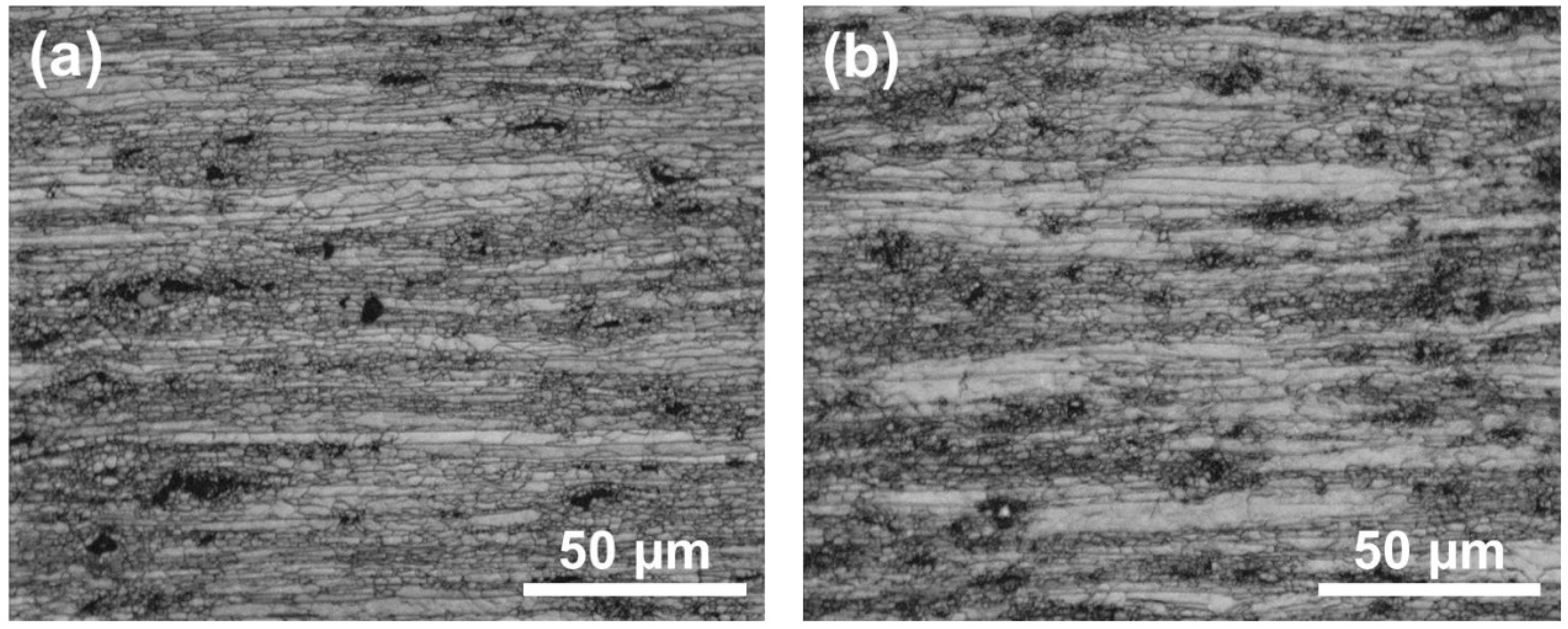 Metals 13 01564 g010