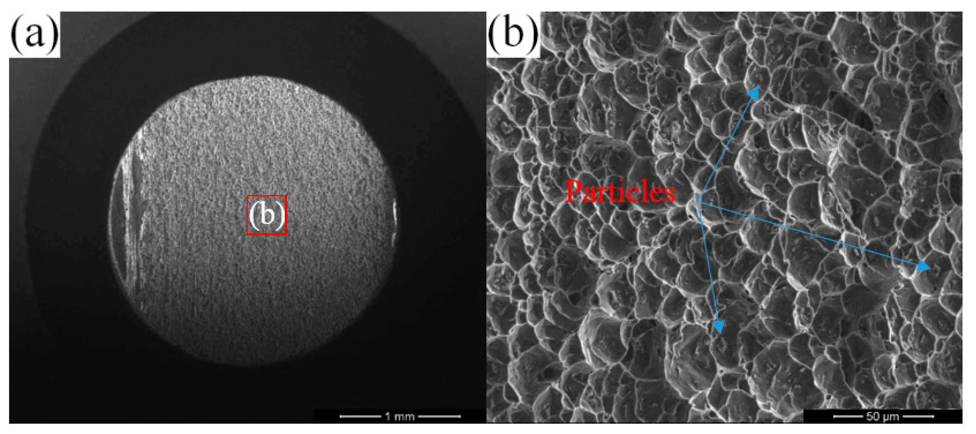 Metals 13 01621 g017