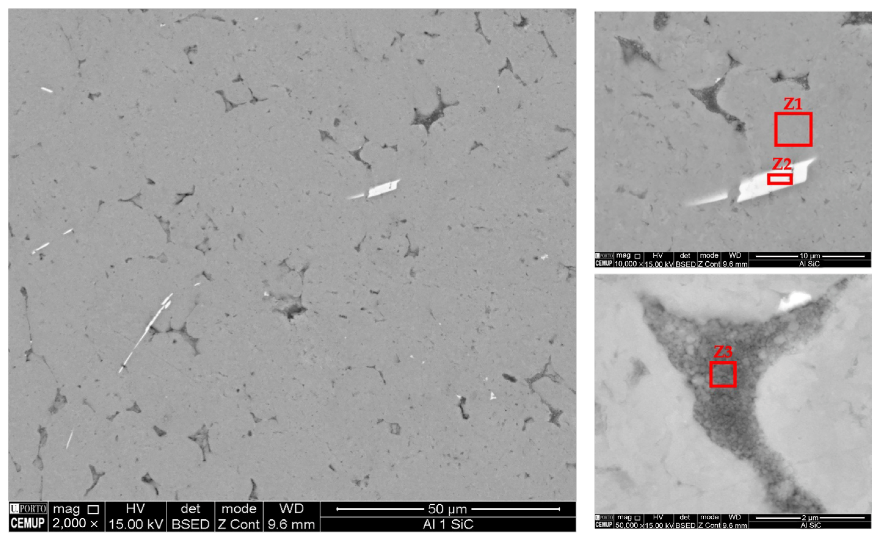 Metals 13 01626 g010